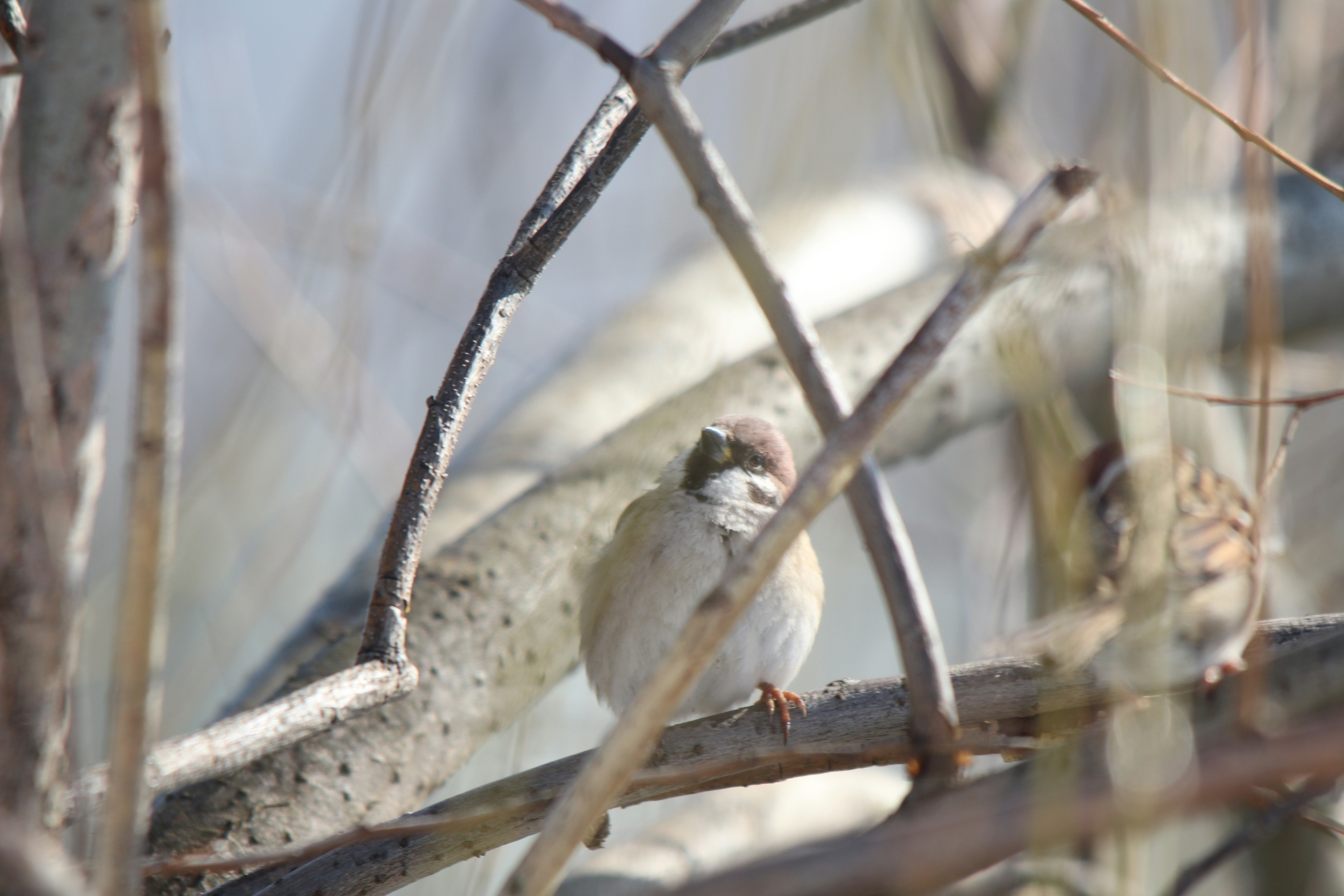 Photo by fotografialuivlad