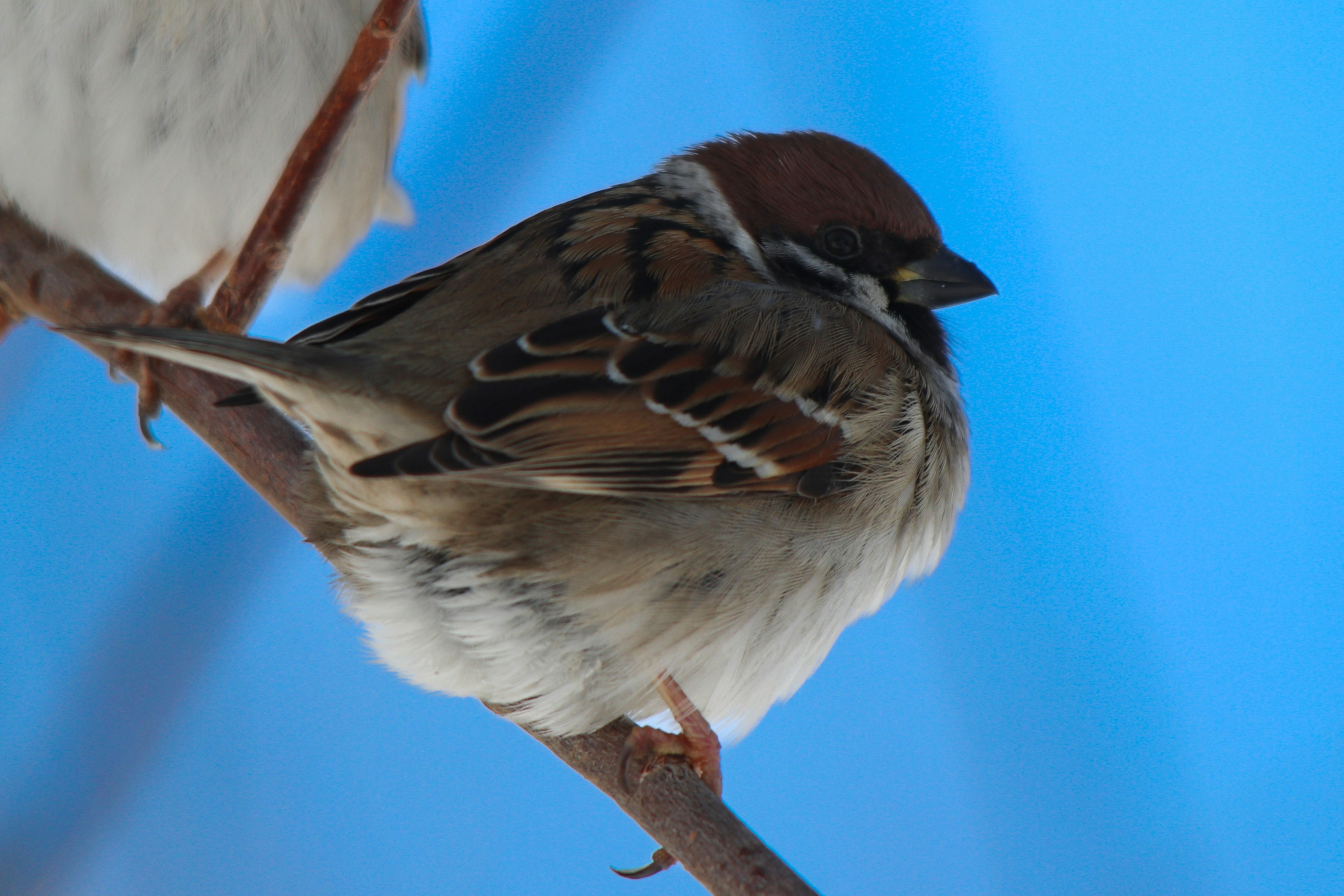 Photo by fotografialuivlad