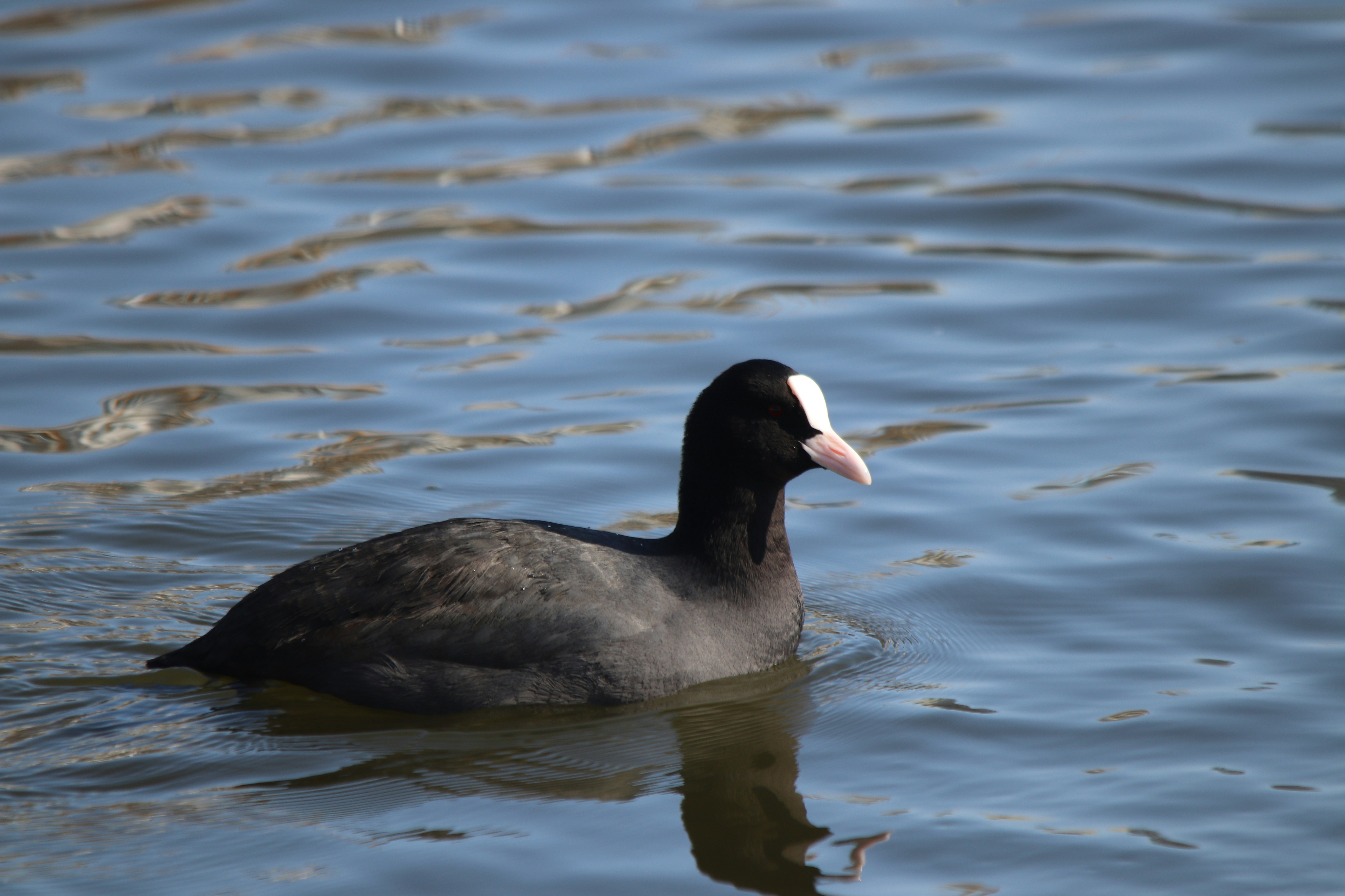 Photo by fotografialuivlad