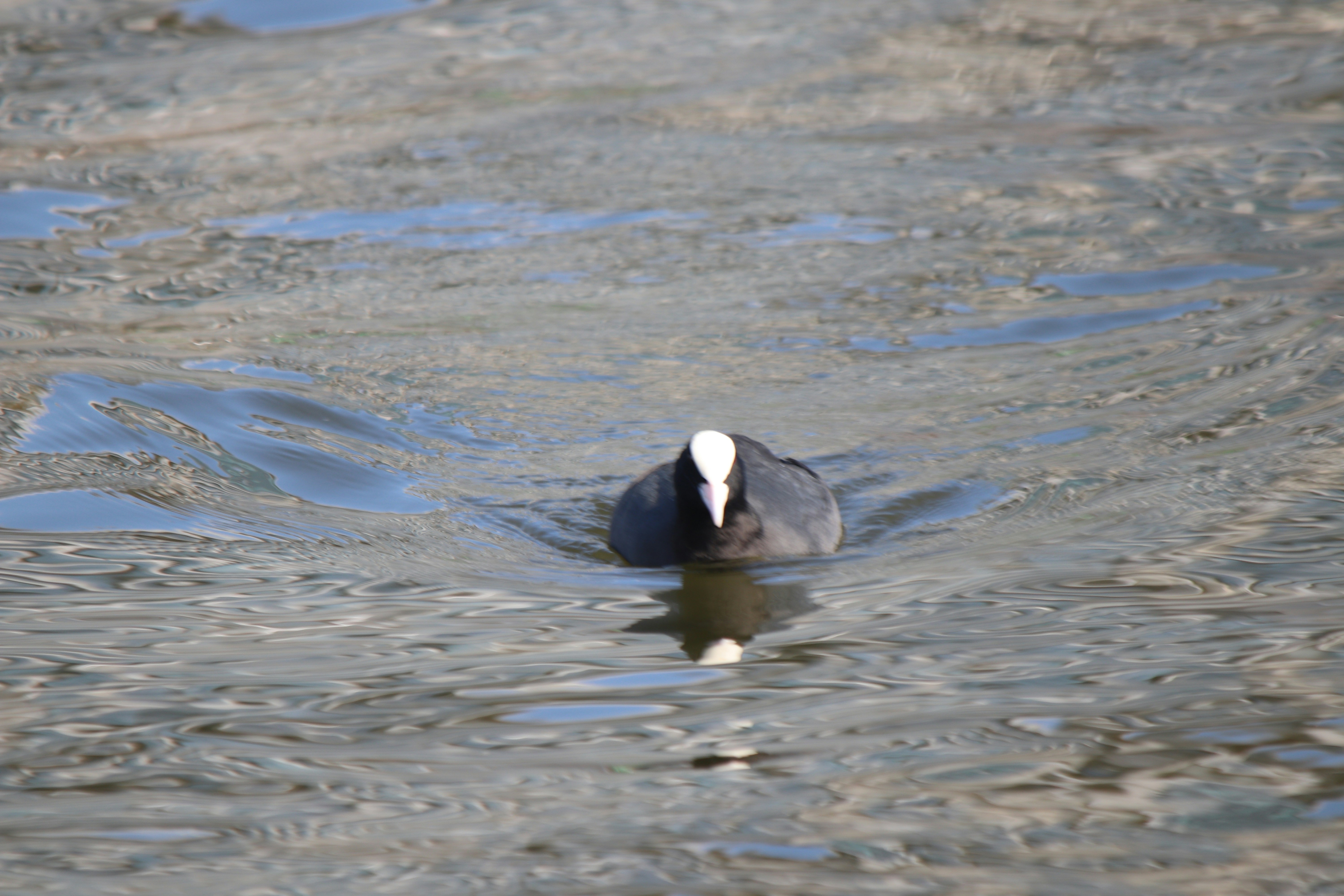 Photo by fotografialuivlad