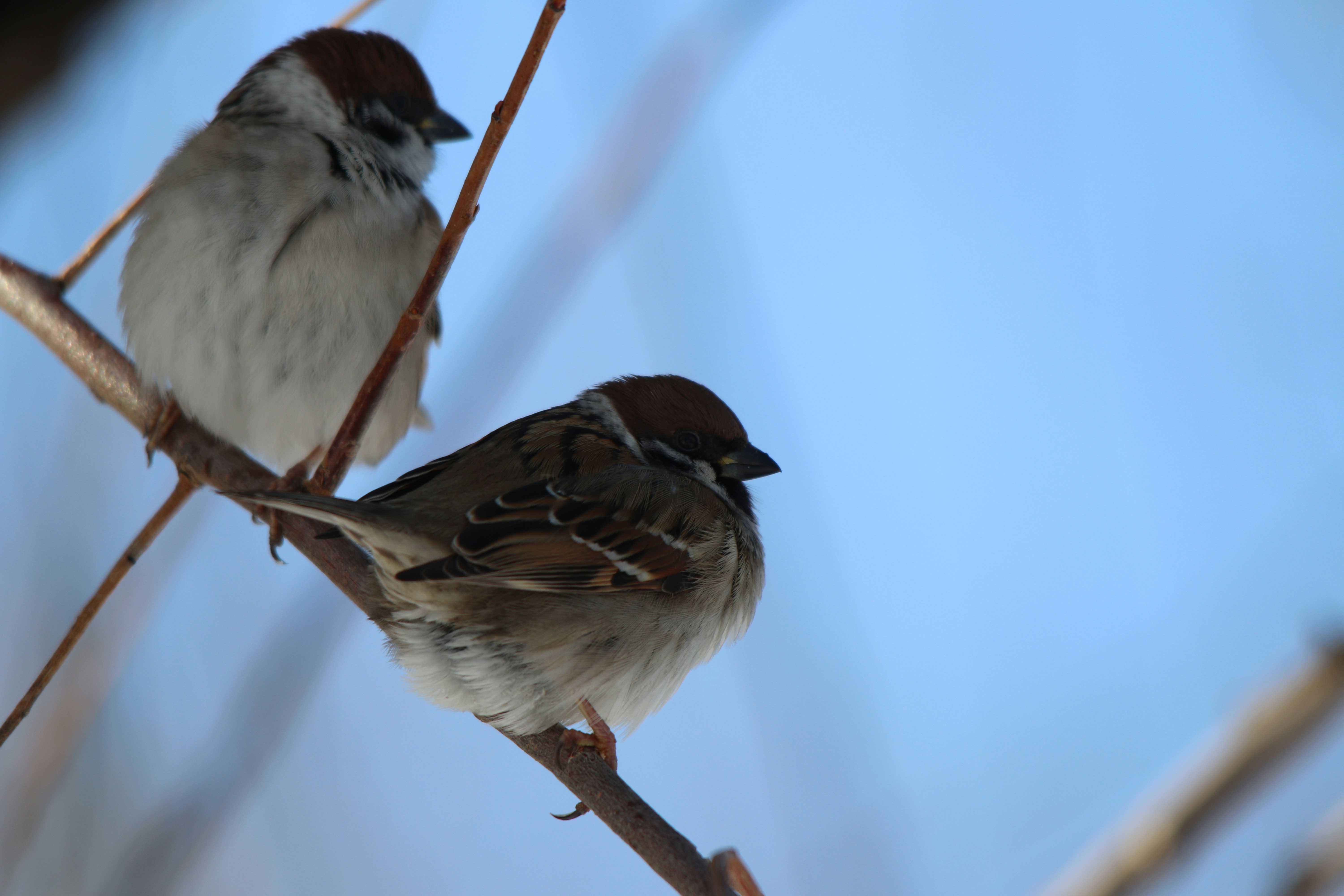 Photo by fotografialuivlad