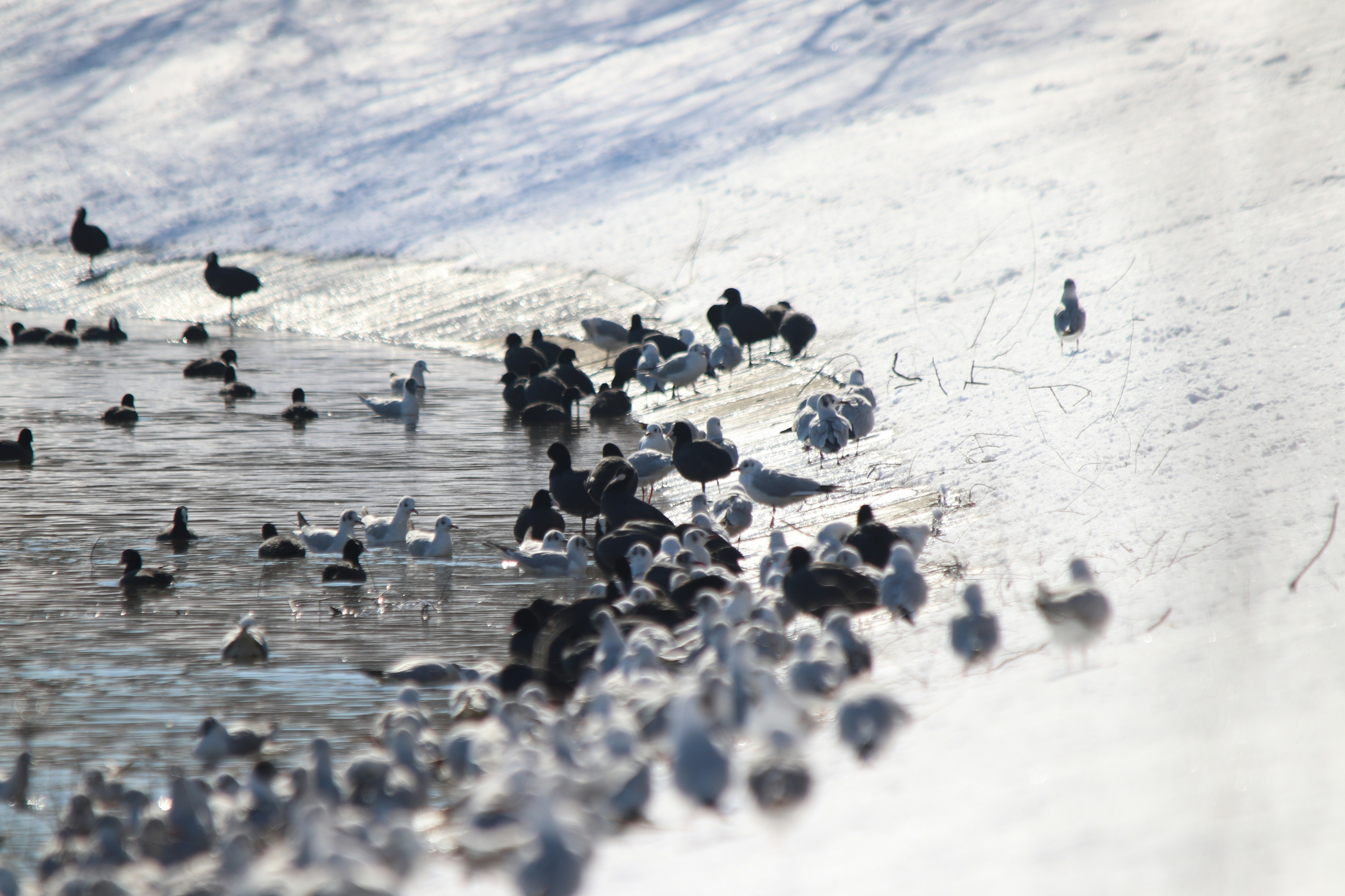 Photo by fotografialuivlad