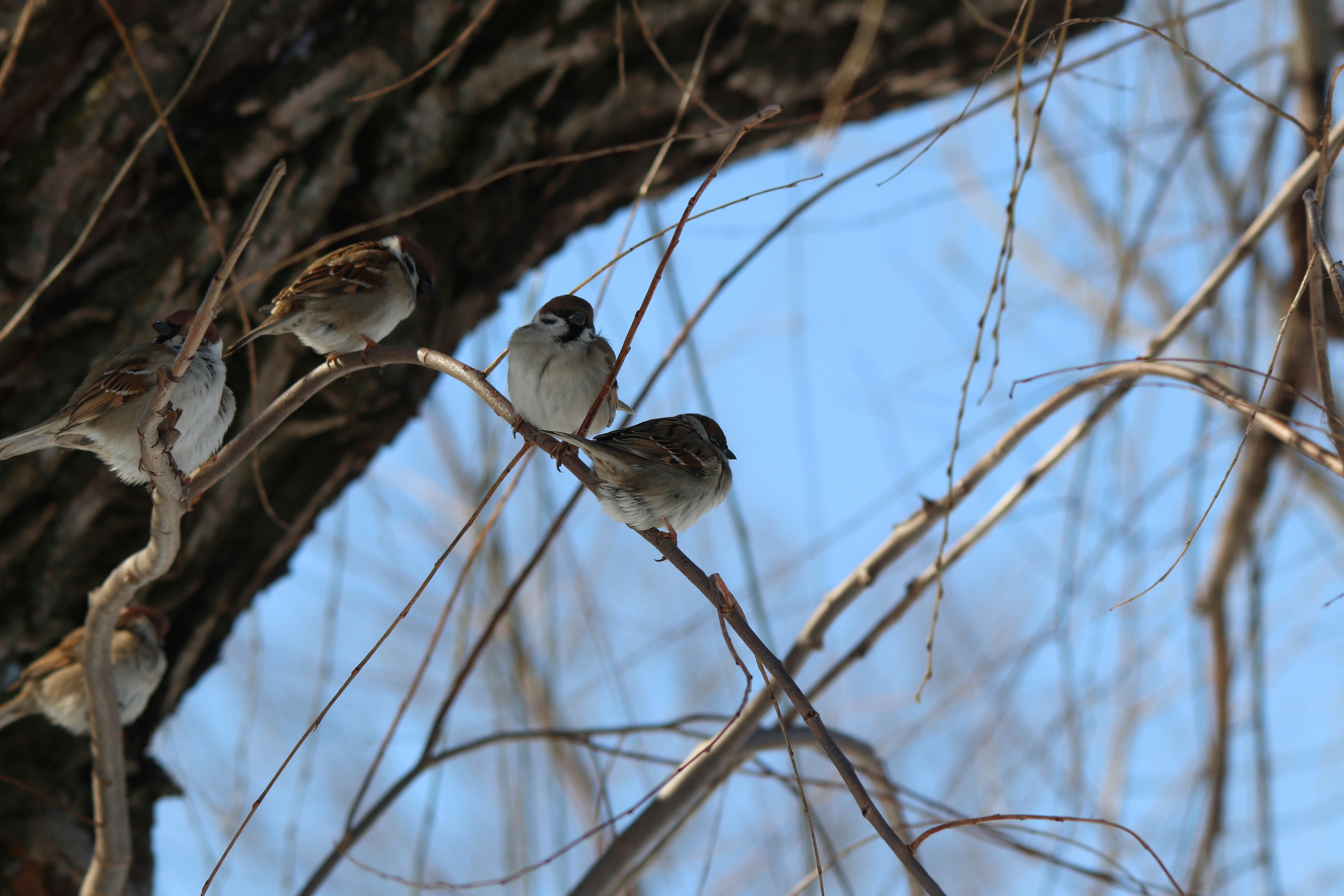 Photo by fotografialuivlad