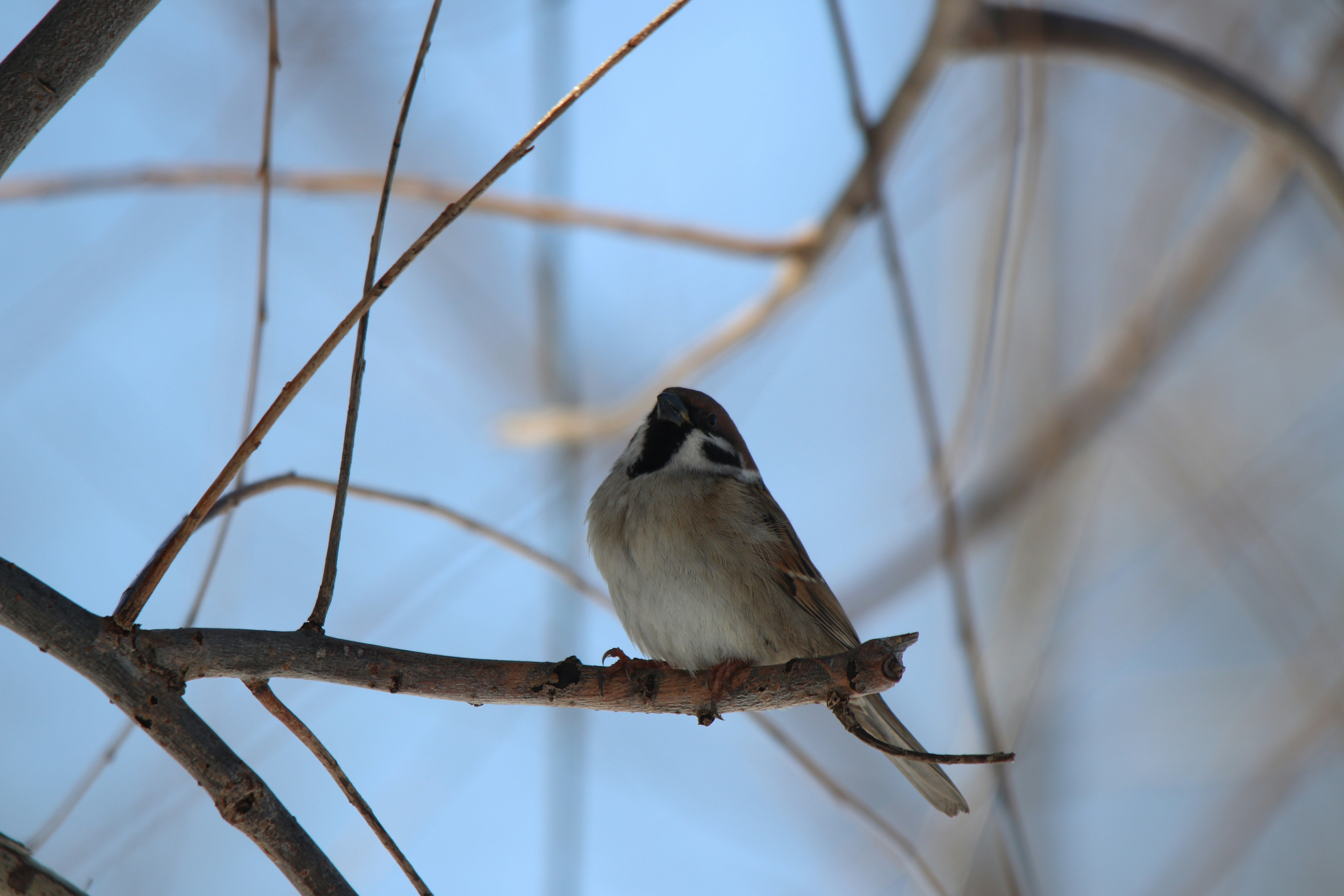 Photo by fotografialuivlad