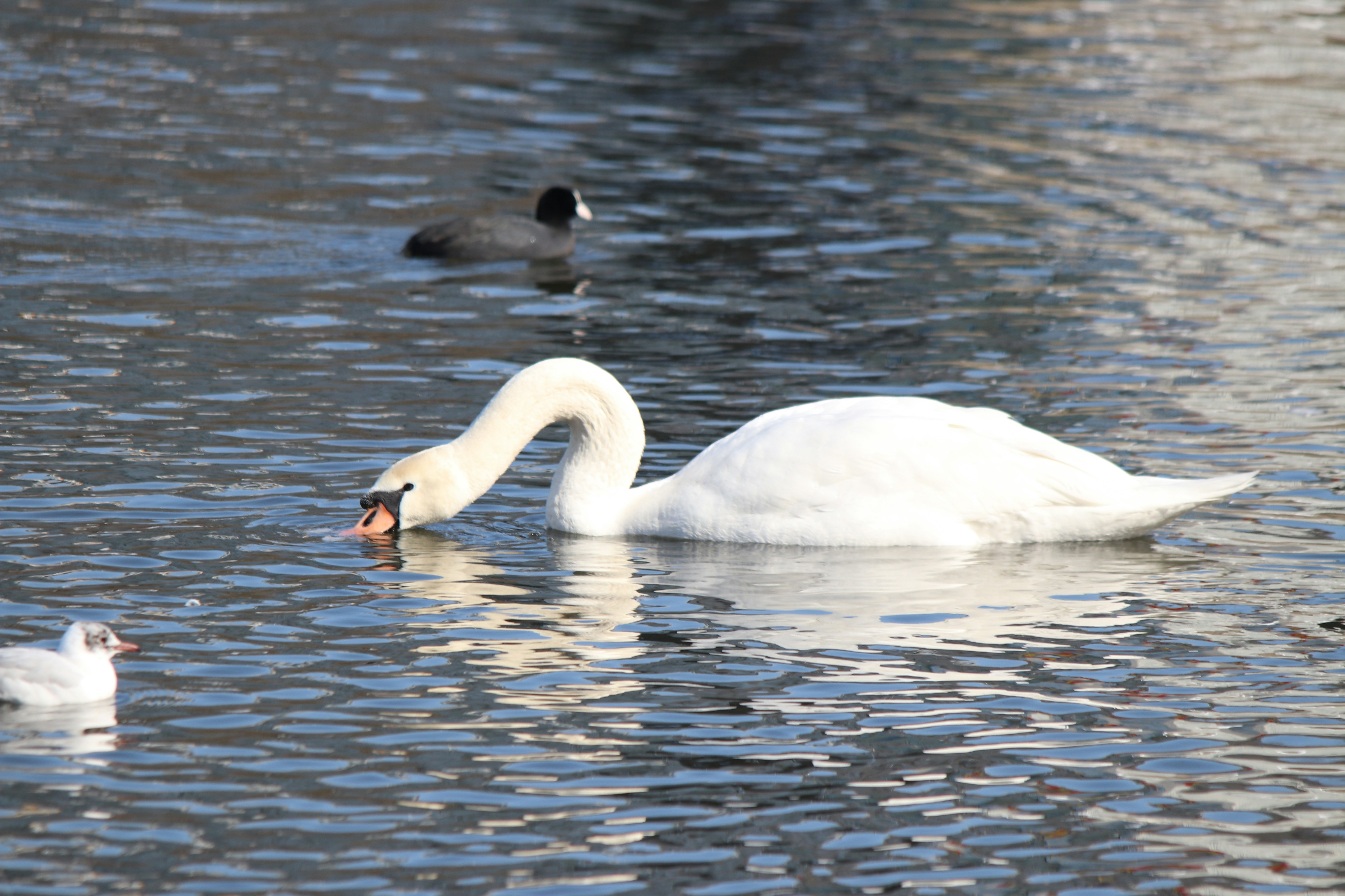 Photo by fotografialuivlad