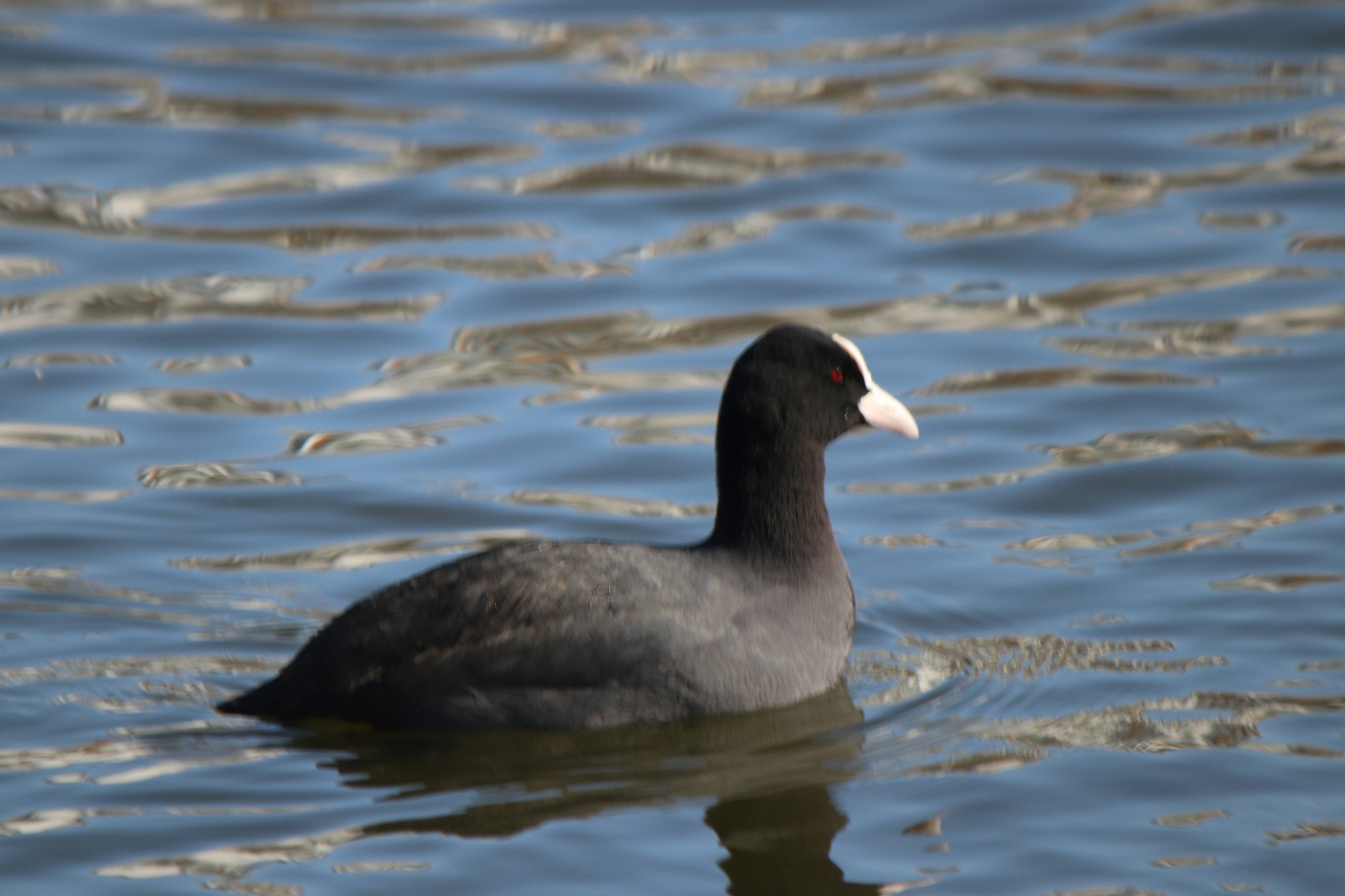 Photo by fotografialuivlad