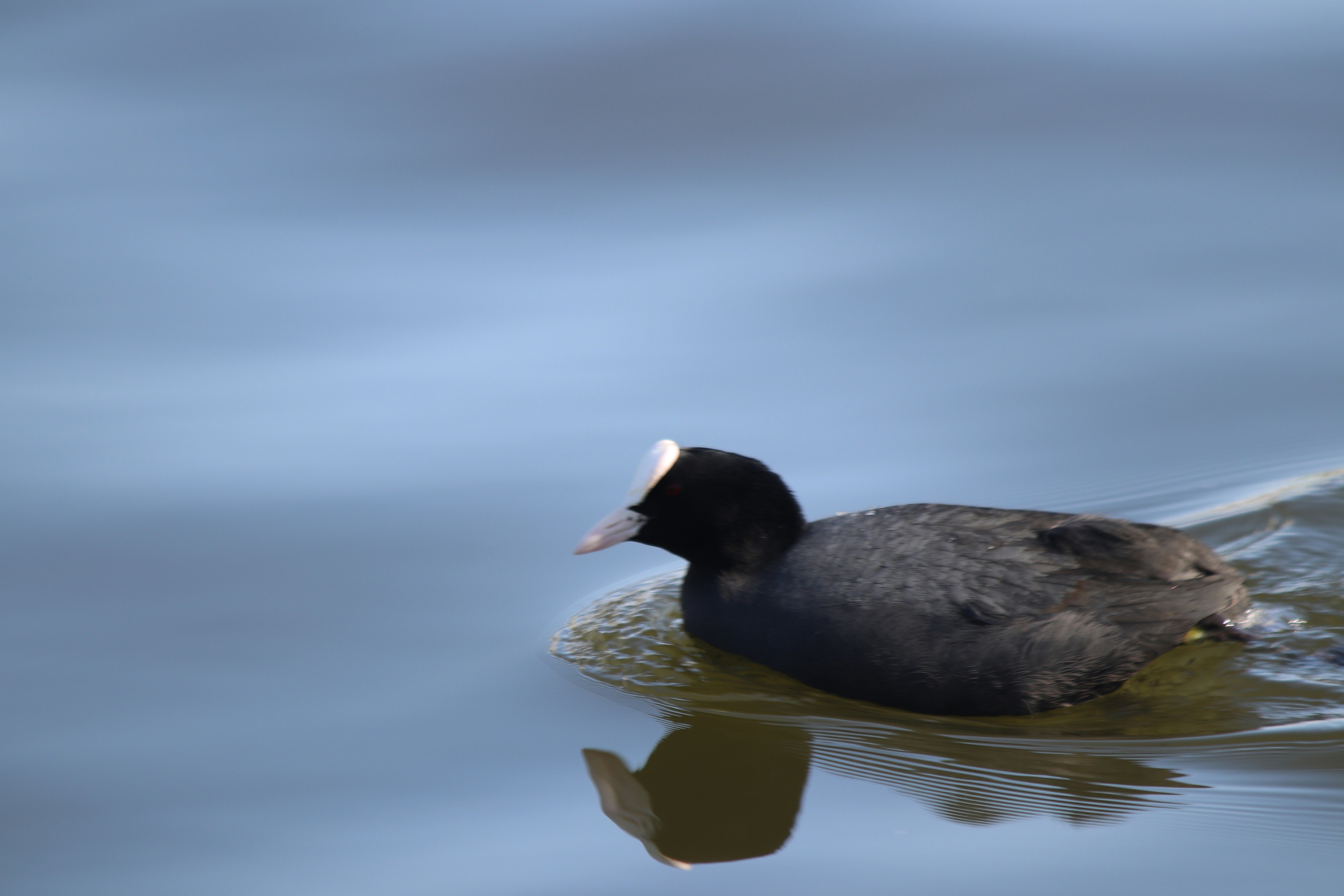 Photo by fotografialuivlad