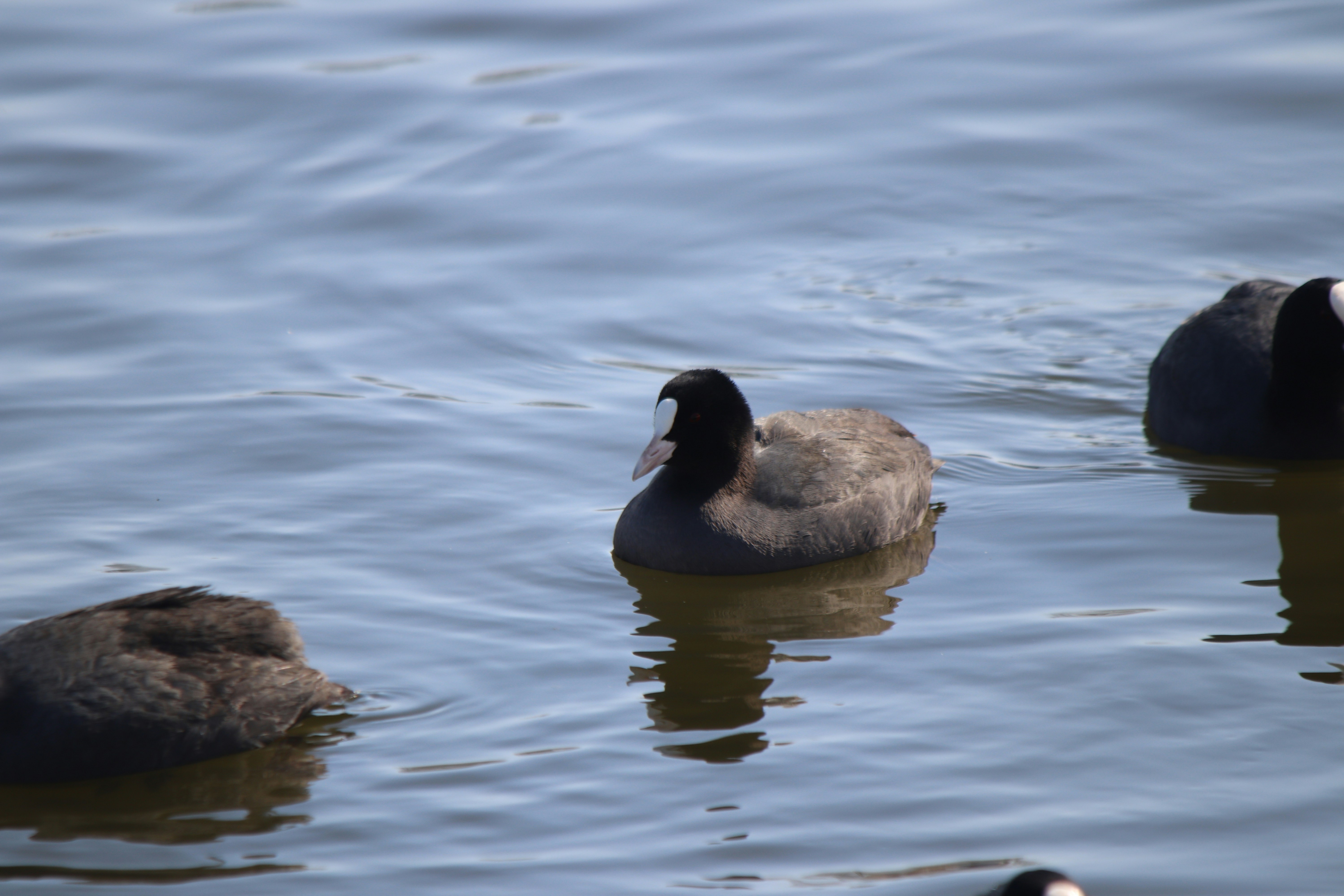 Photo by fotografialuivlad