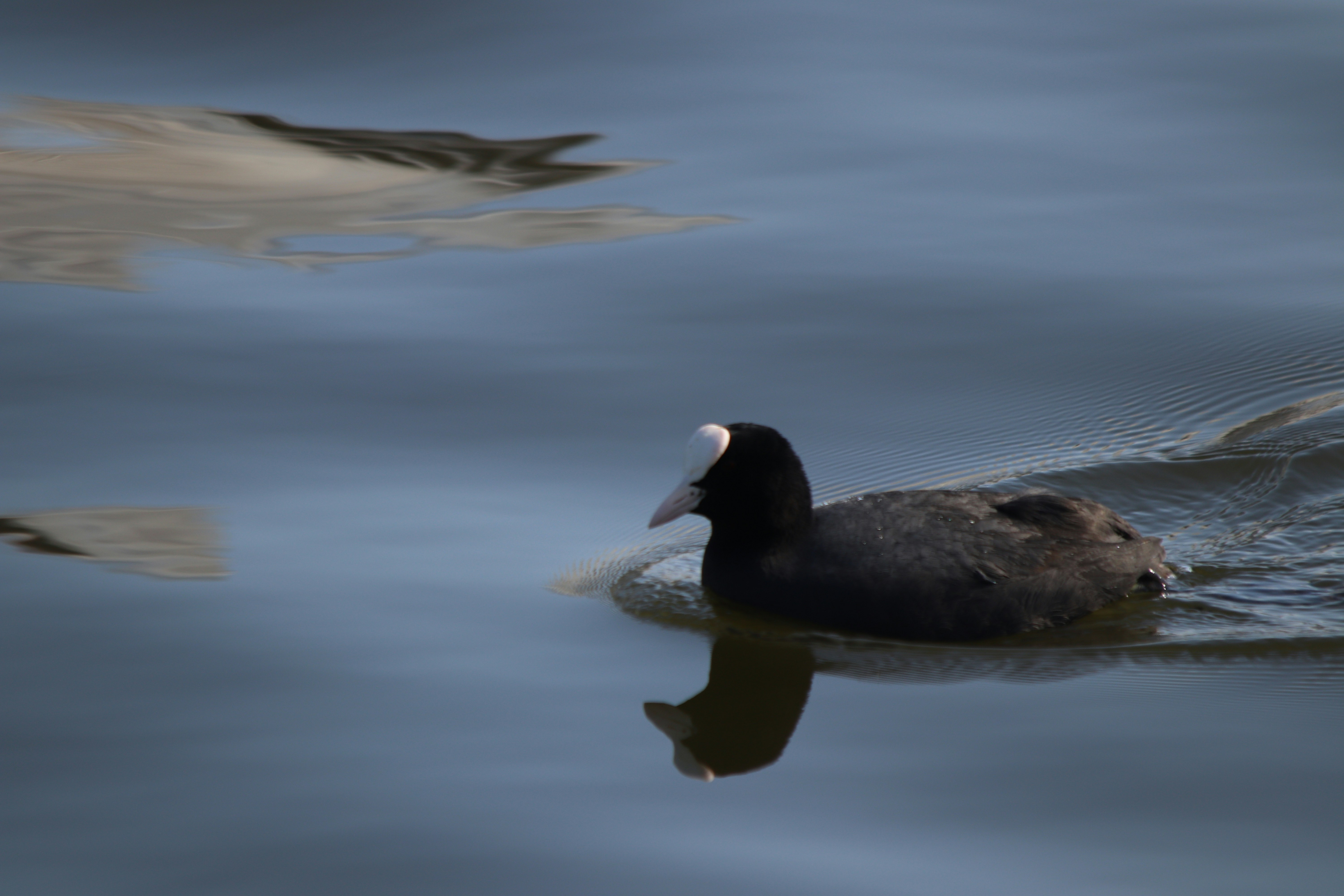 Photo by fotografialuivlad