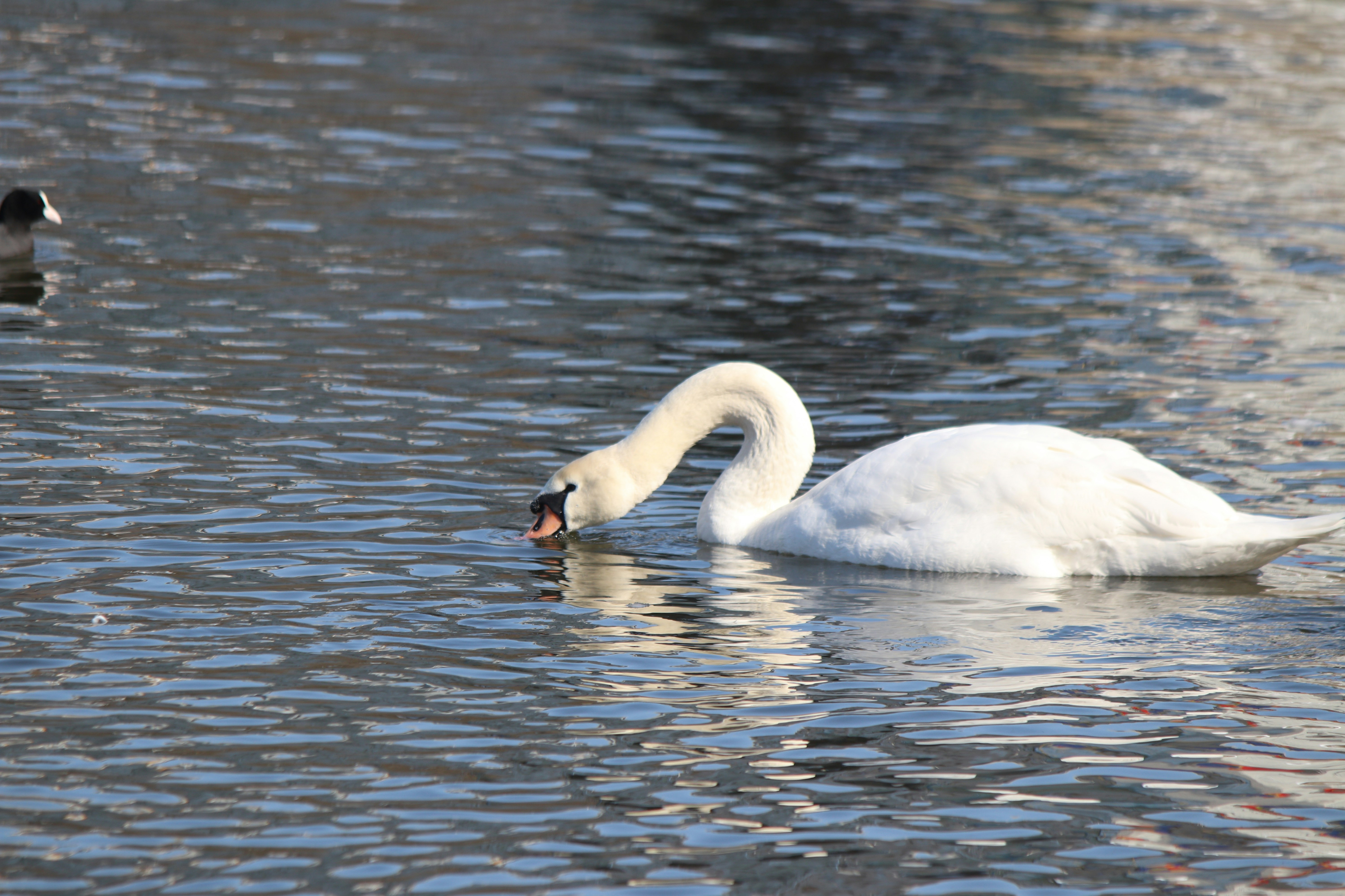 Photo by fotografialuivlad