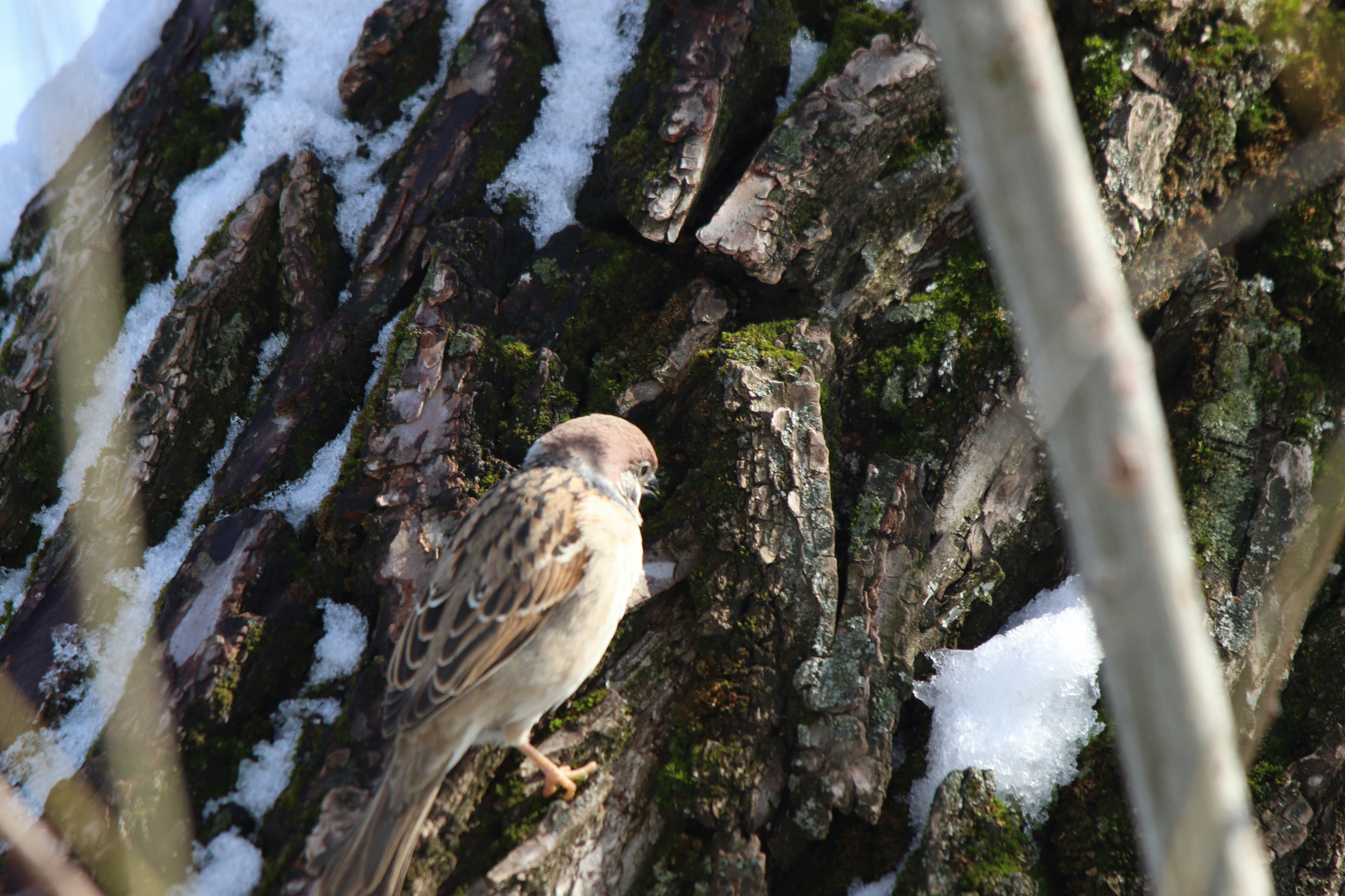 Photo by fotografialuivlad