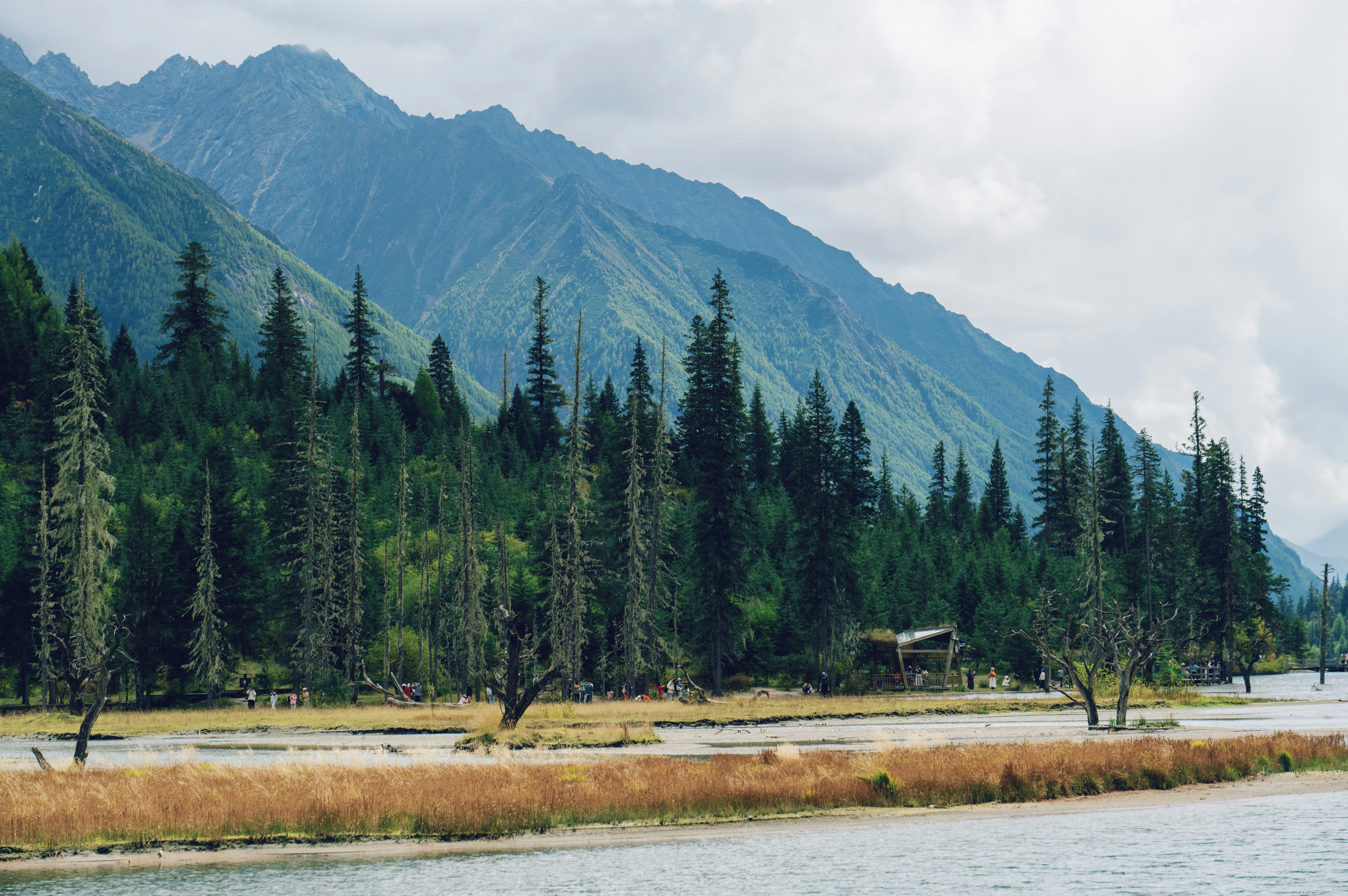 Photo by blackbird_ii