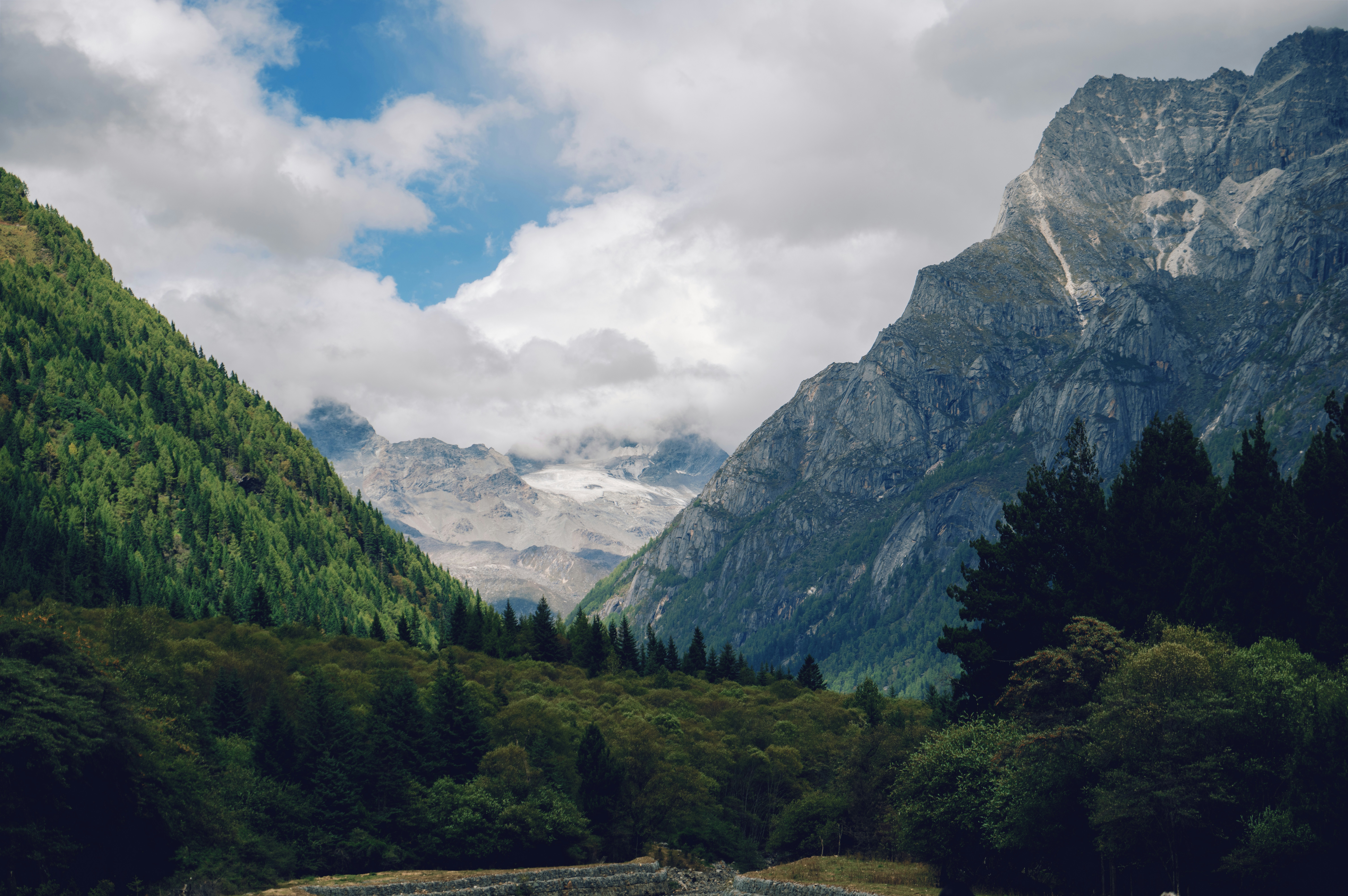 Photo by blackbird_ii