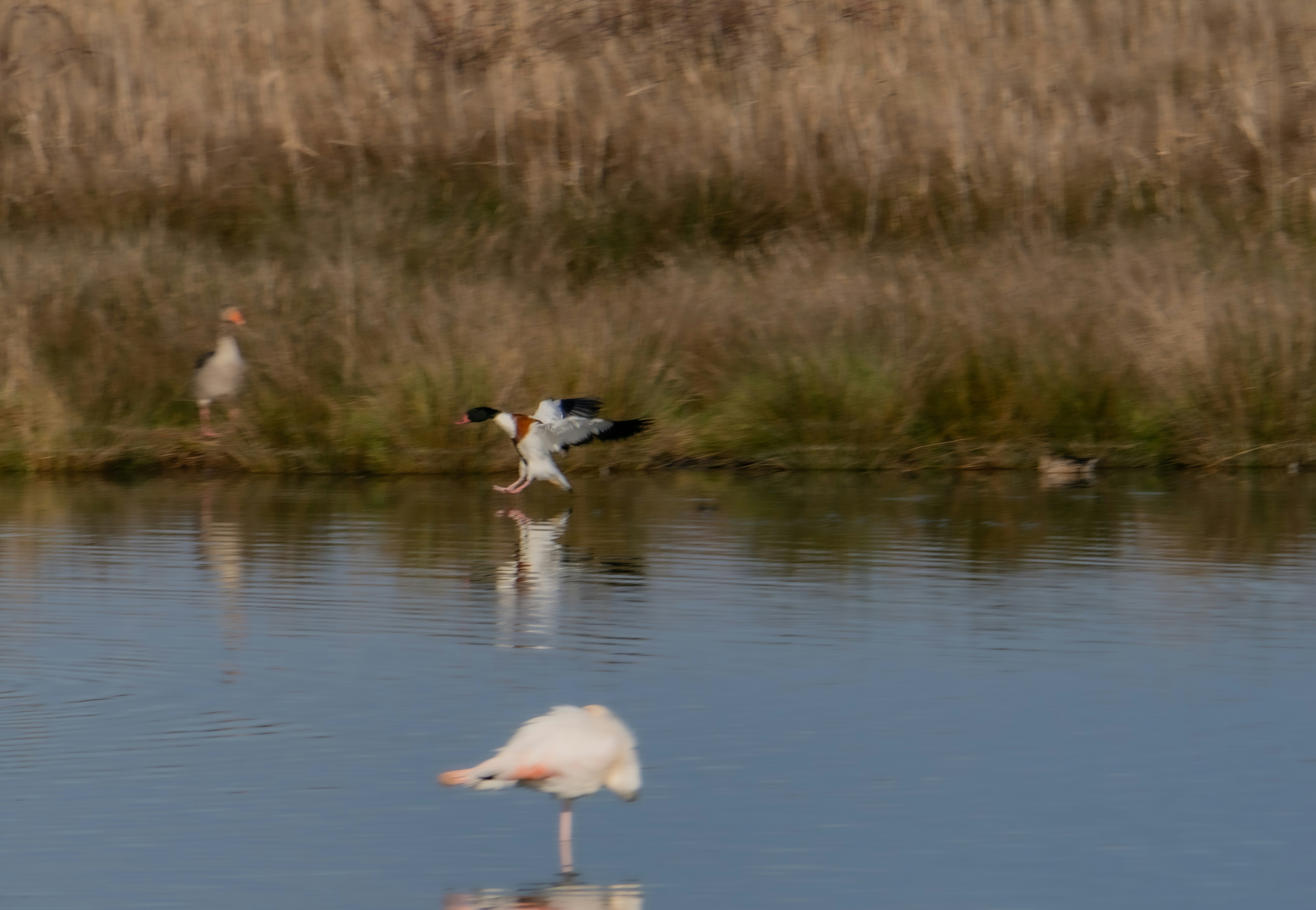 Photo by gopitri_prem