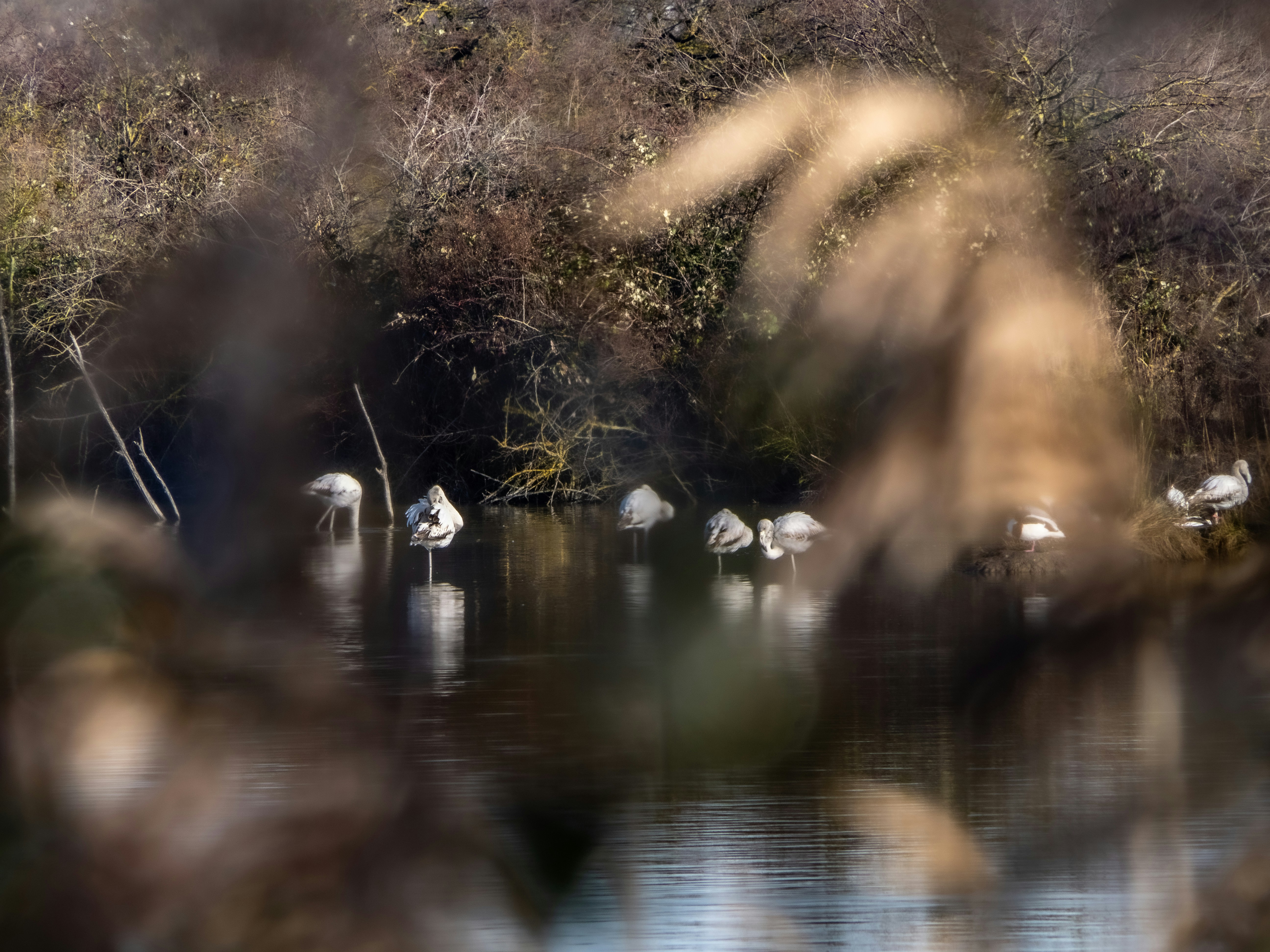 Photo by gopitri_prem