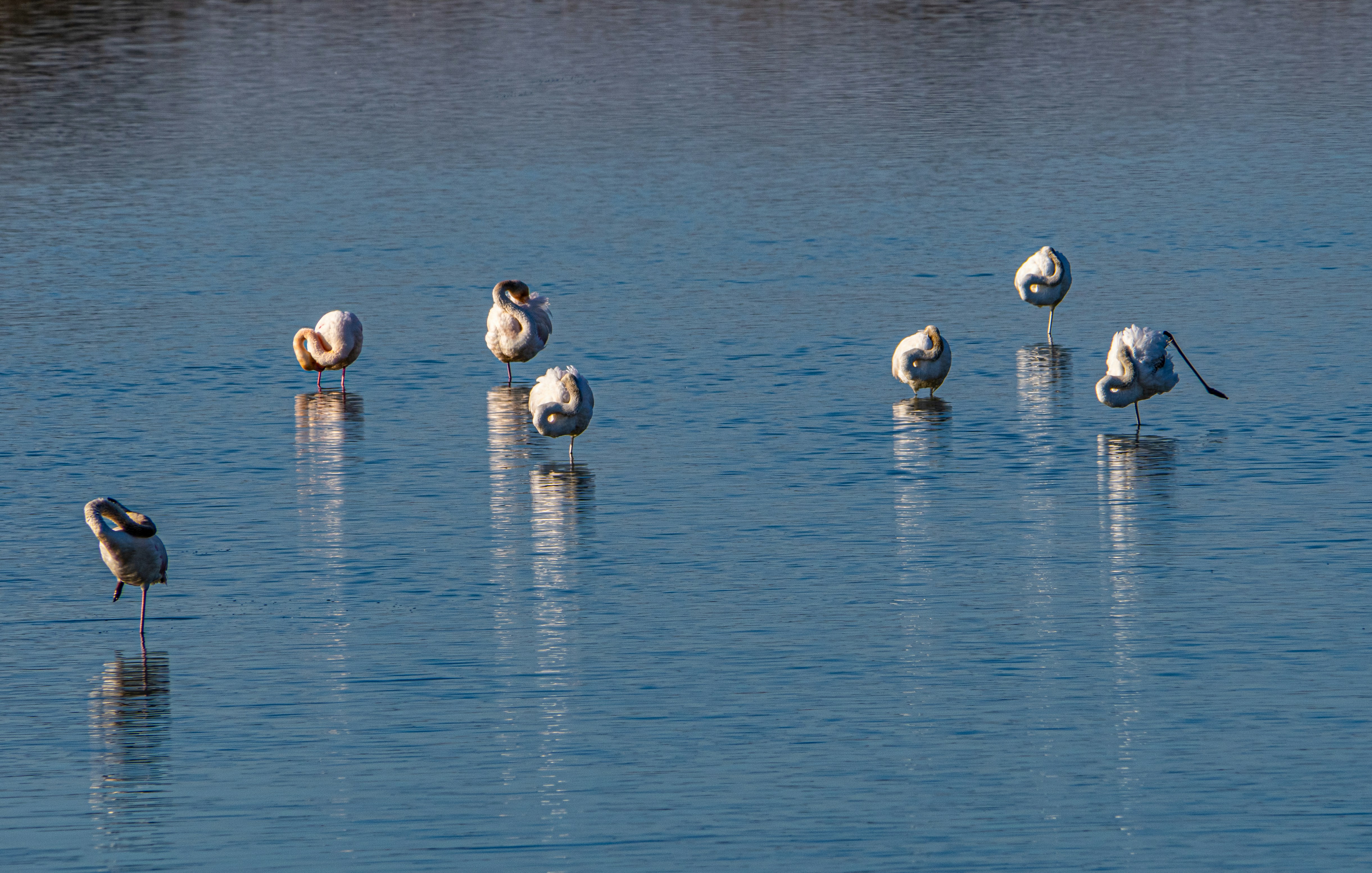 Photo by gopitri_prem