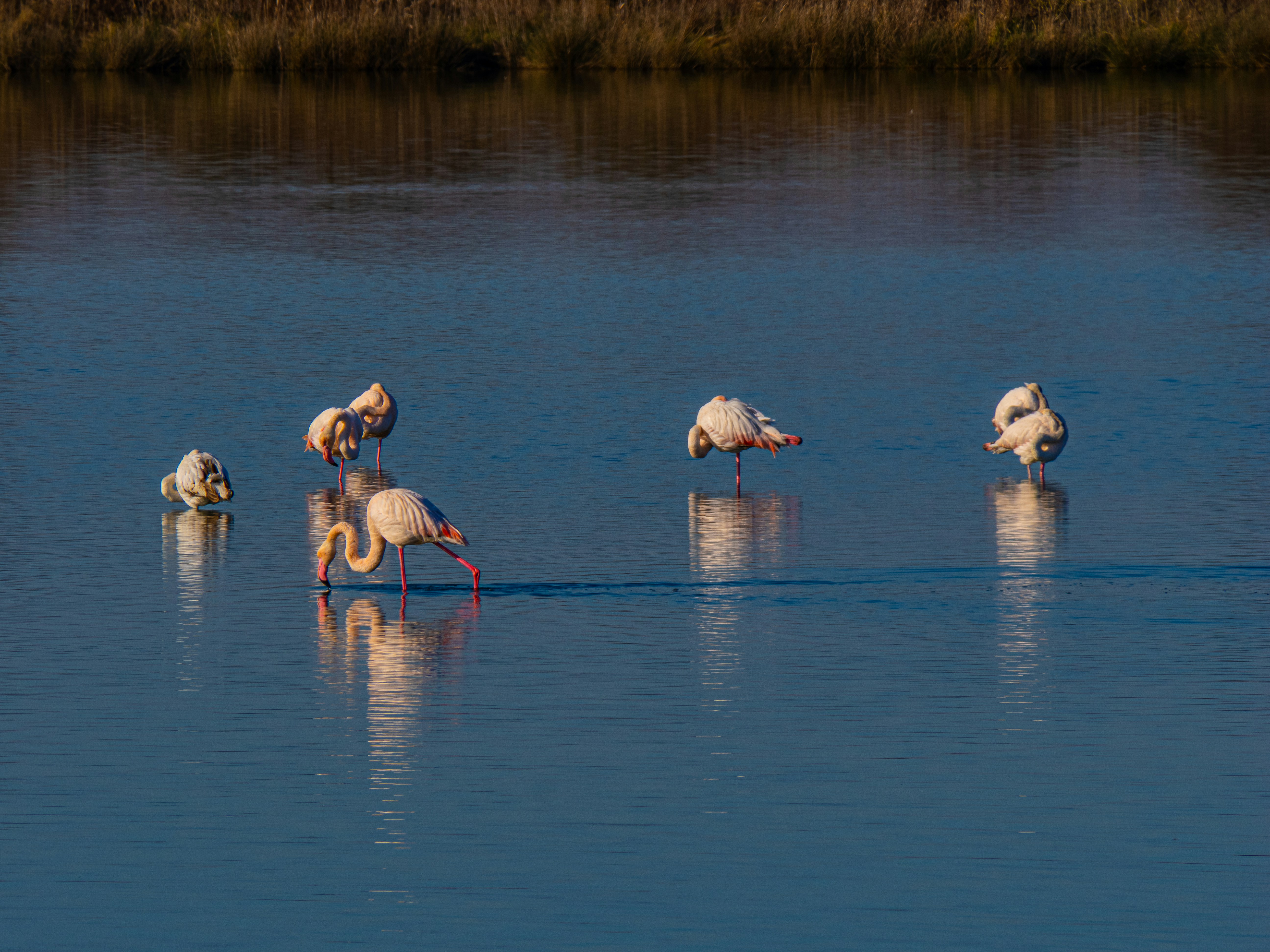 Photo by gopitri_prem