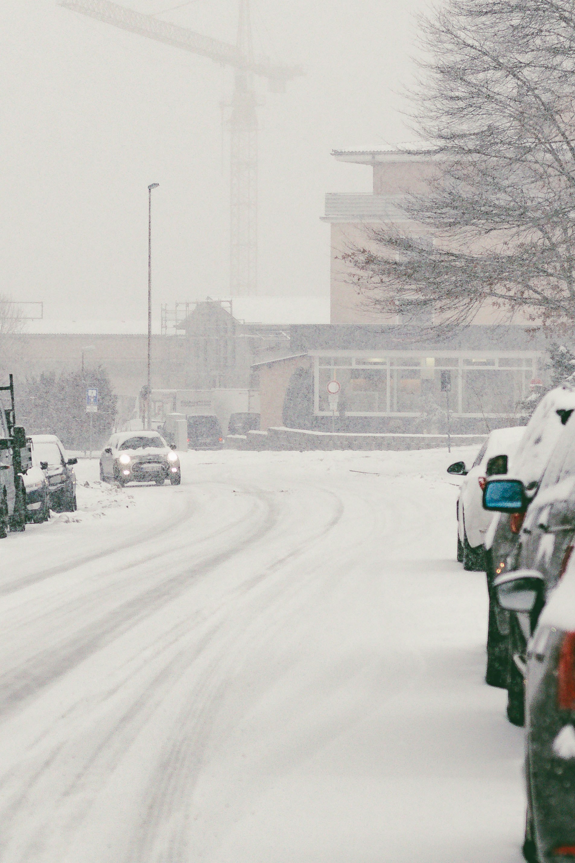 Photo by arlindphotography