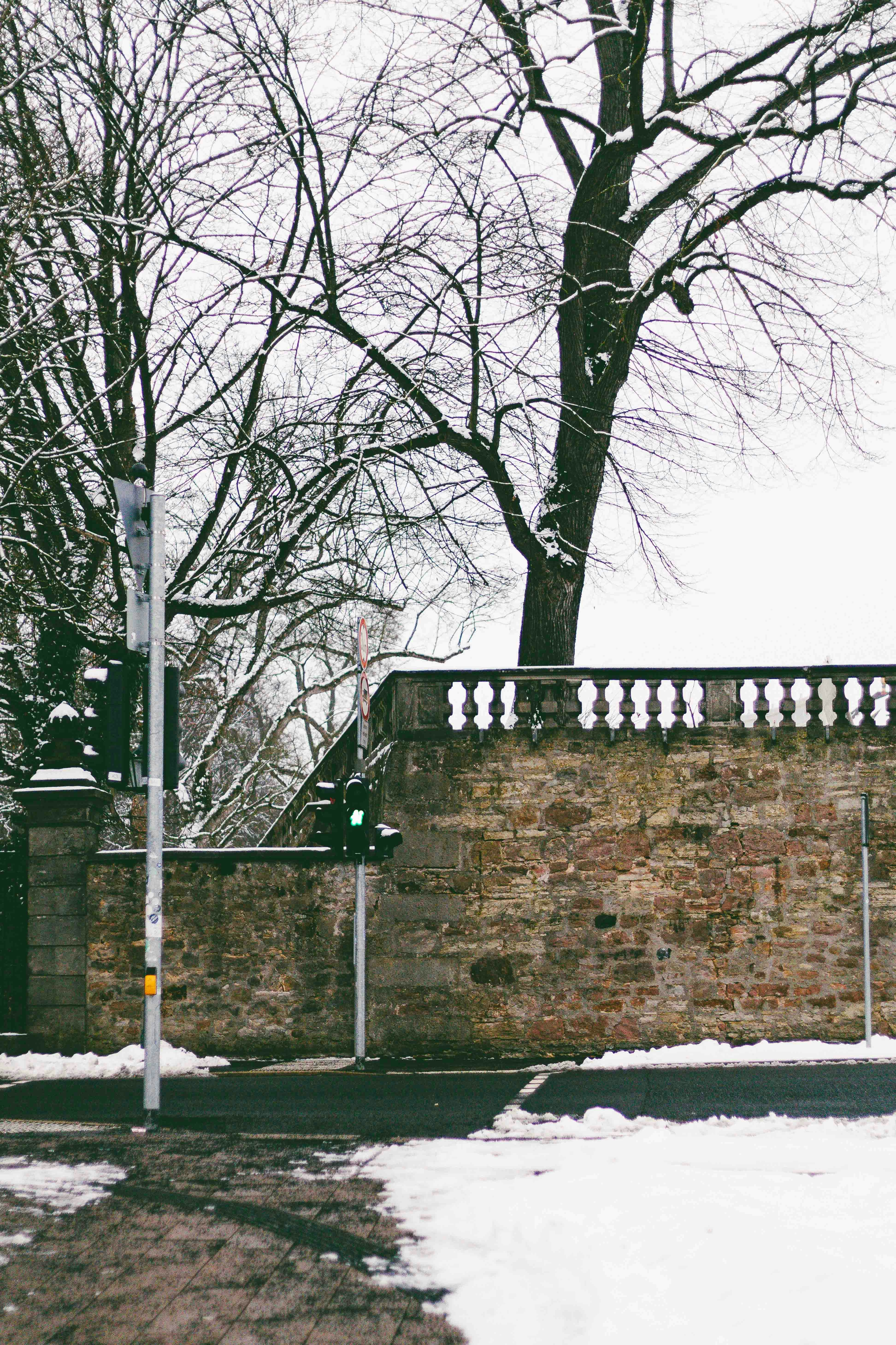 Snowy street with a brick wall and trees