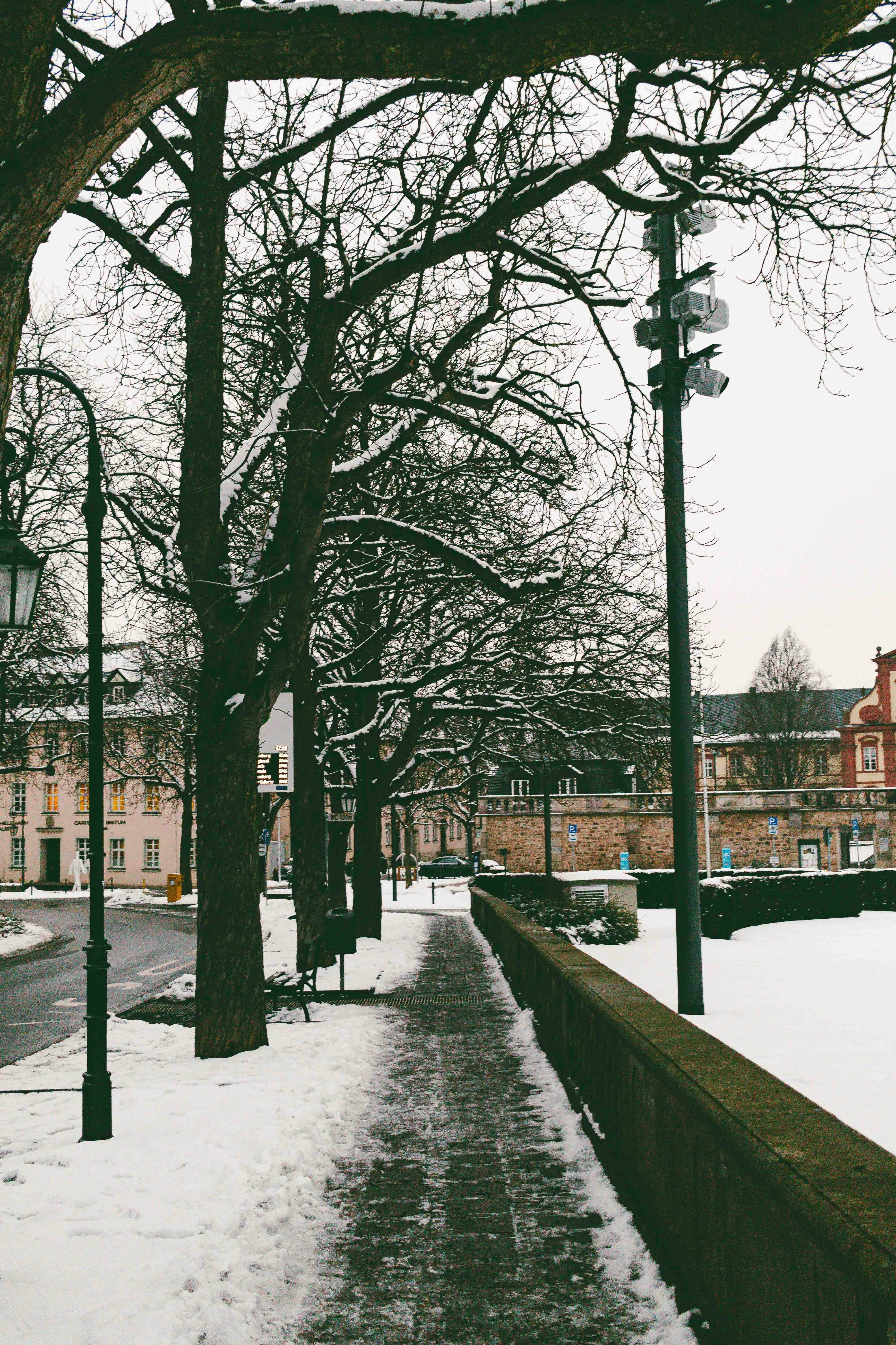 Photo by arlindphotography