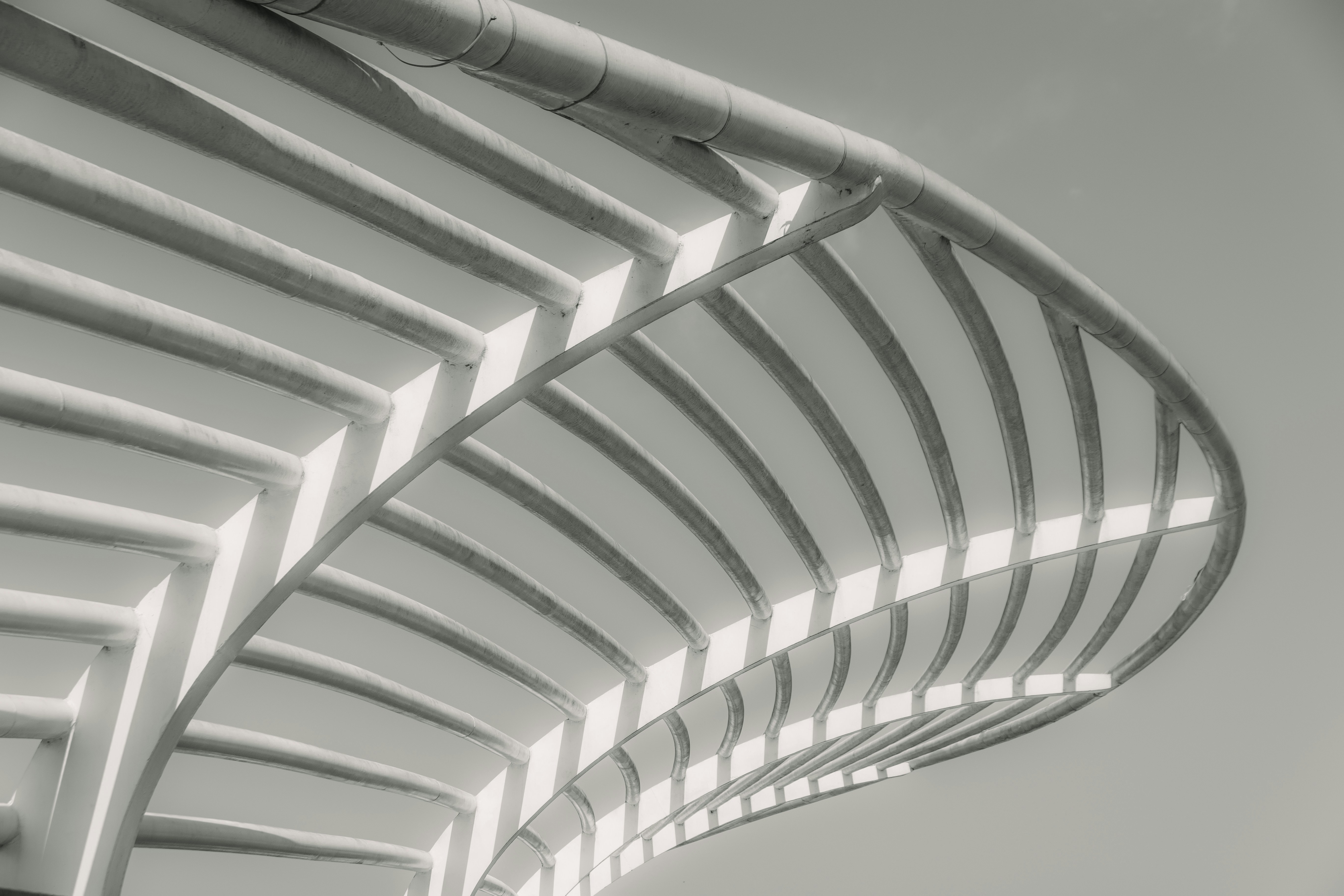 Photo by wu_hua_jiang