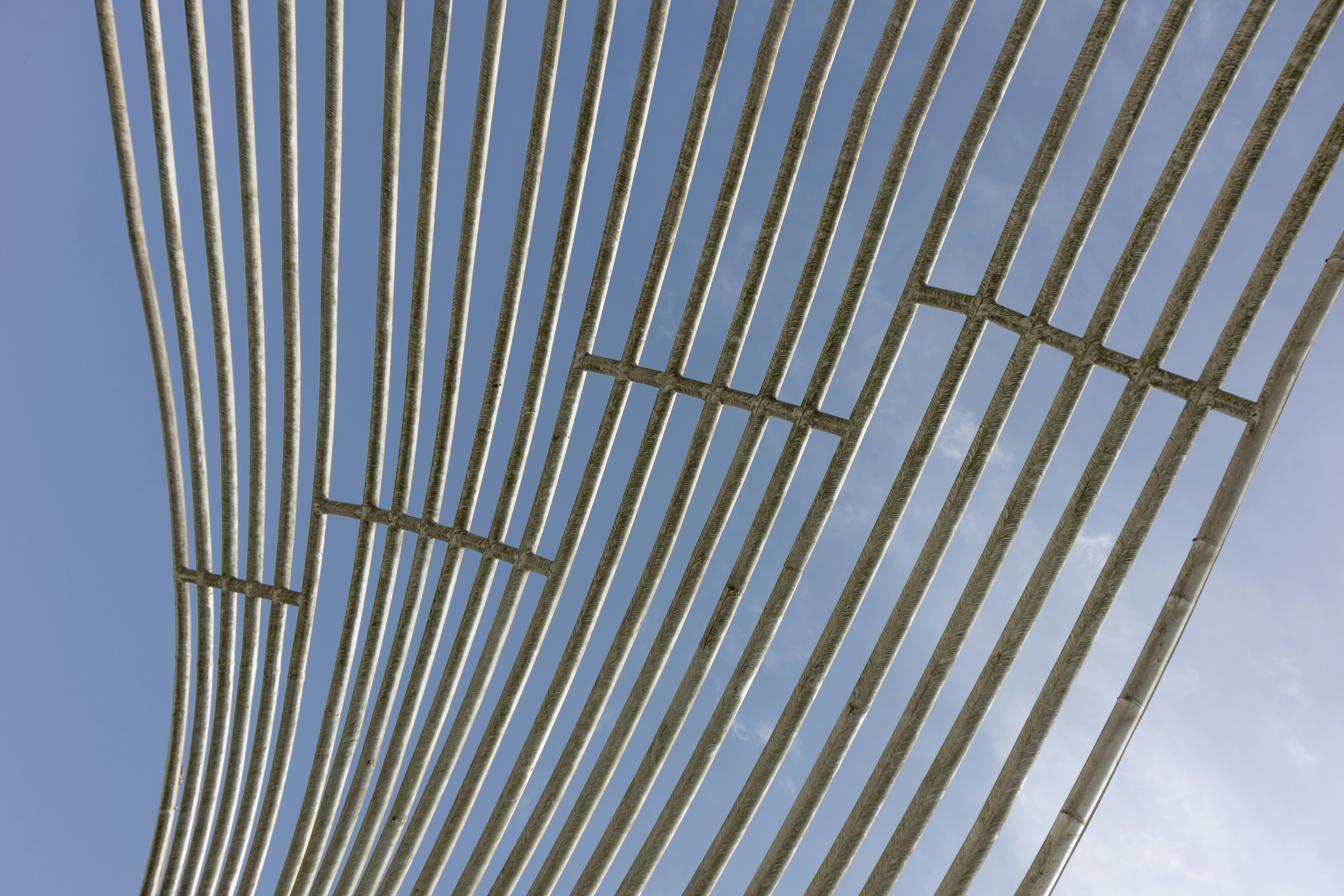 Photo by wu_hua_jiang