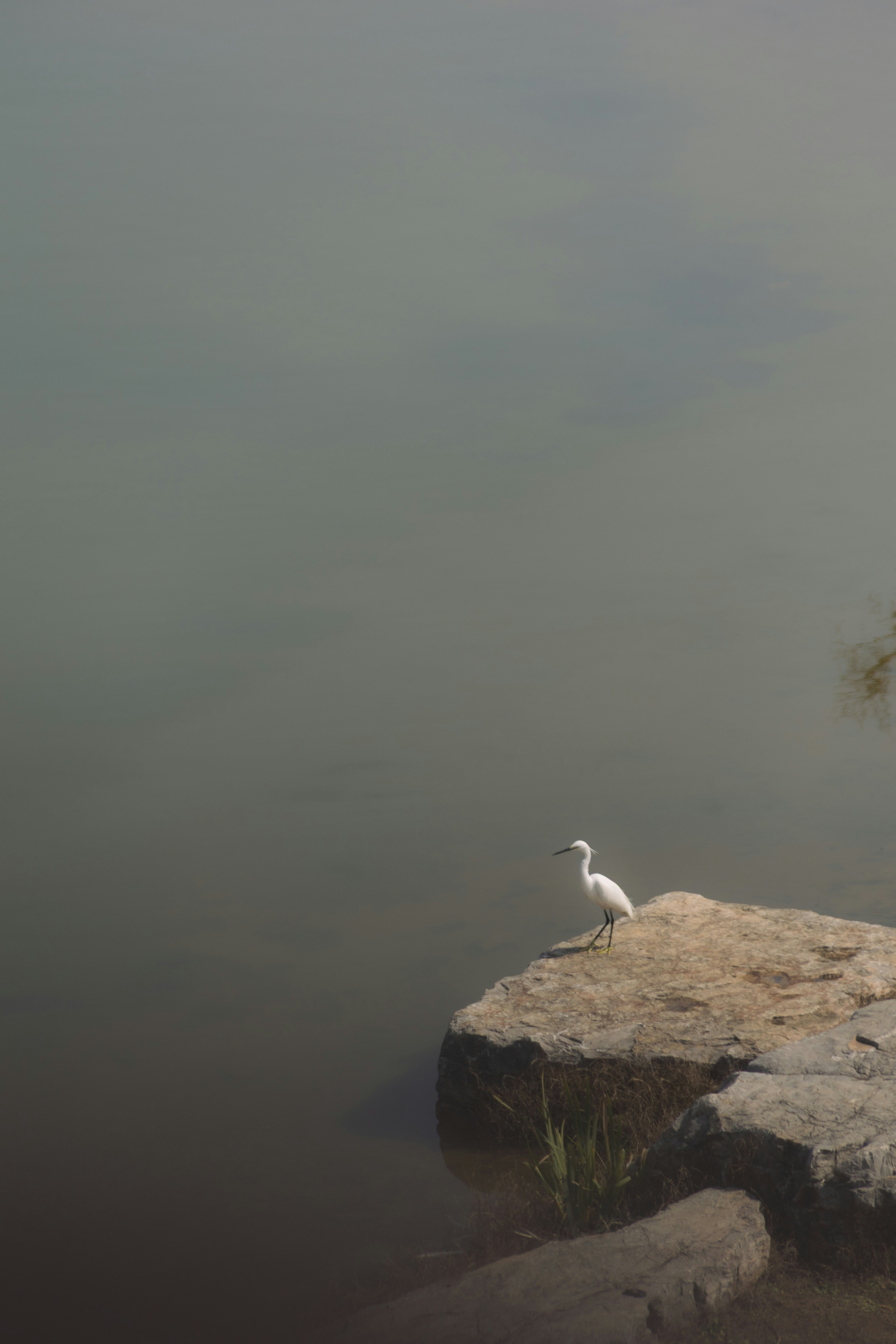 Photo by wu_hua_jiang