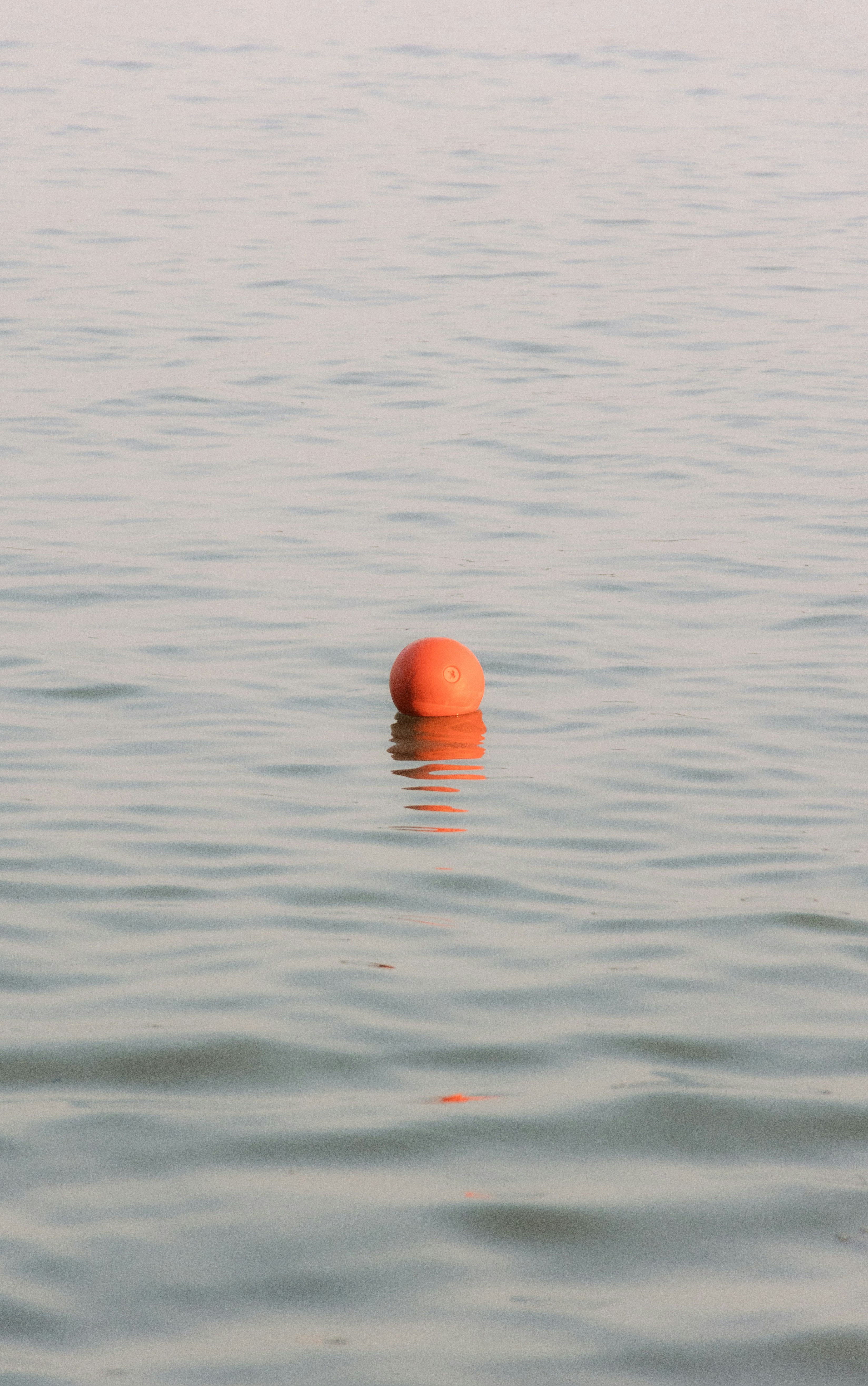 Photo by wu_hua_jiang