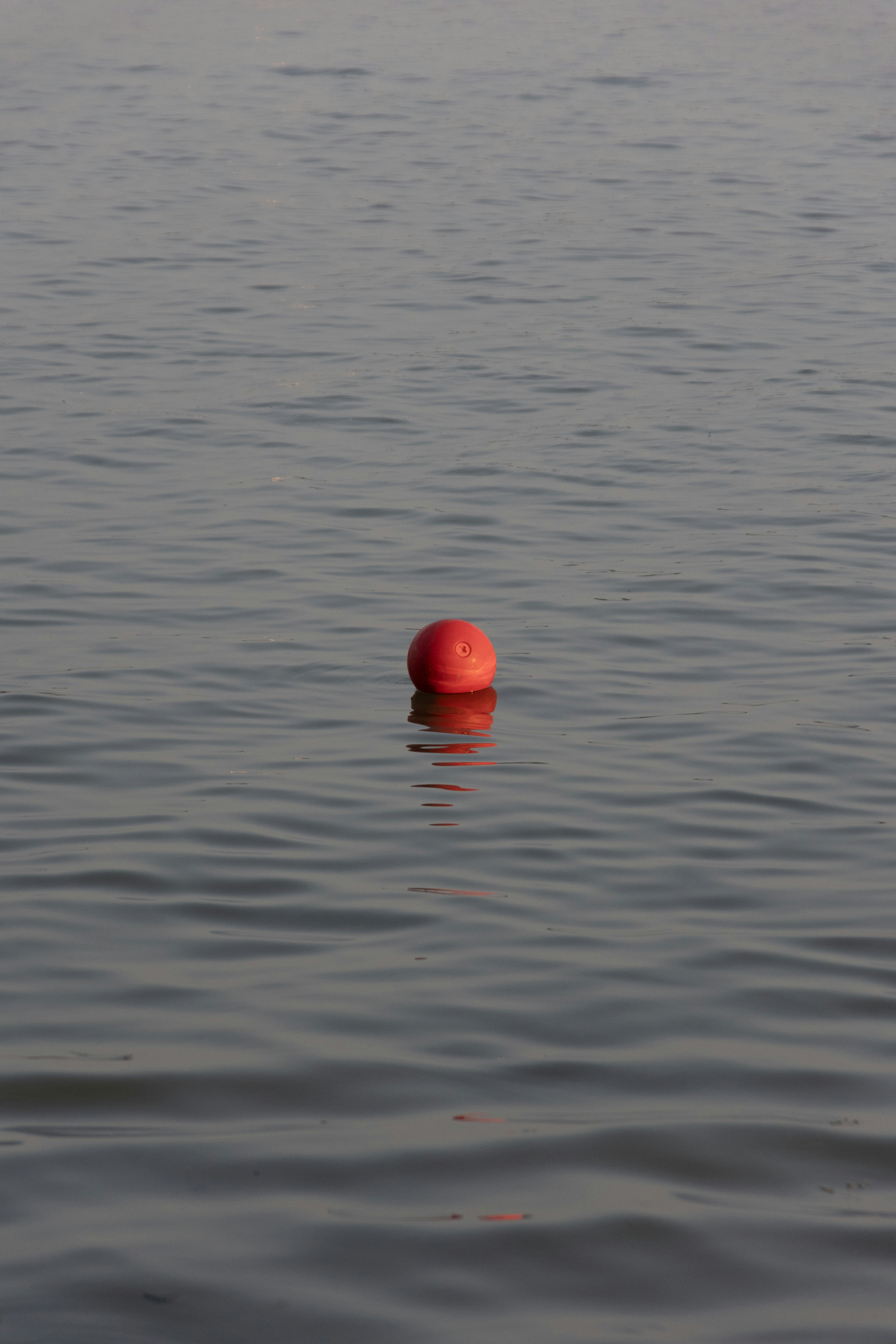 Photo by wu_hua_jiang