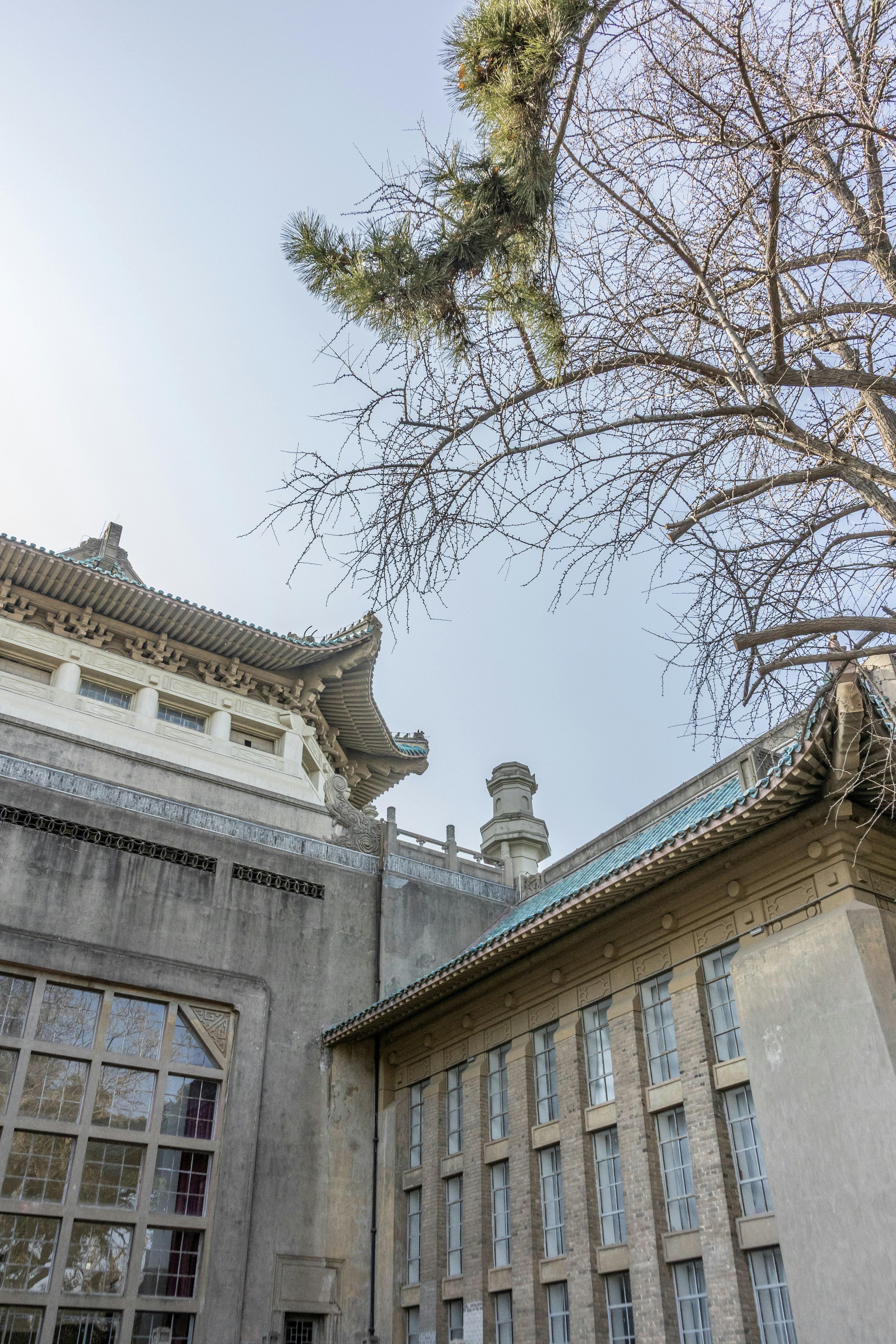 Photo by wu_hua_jiang