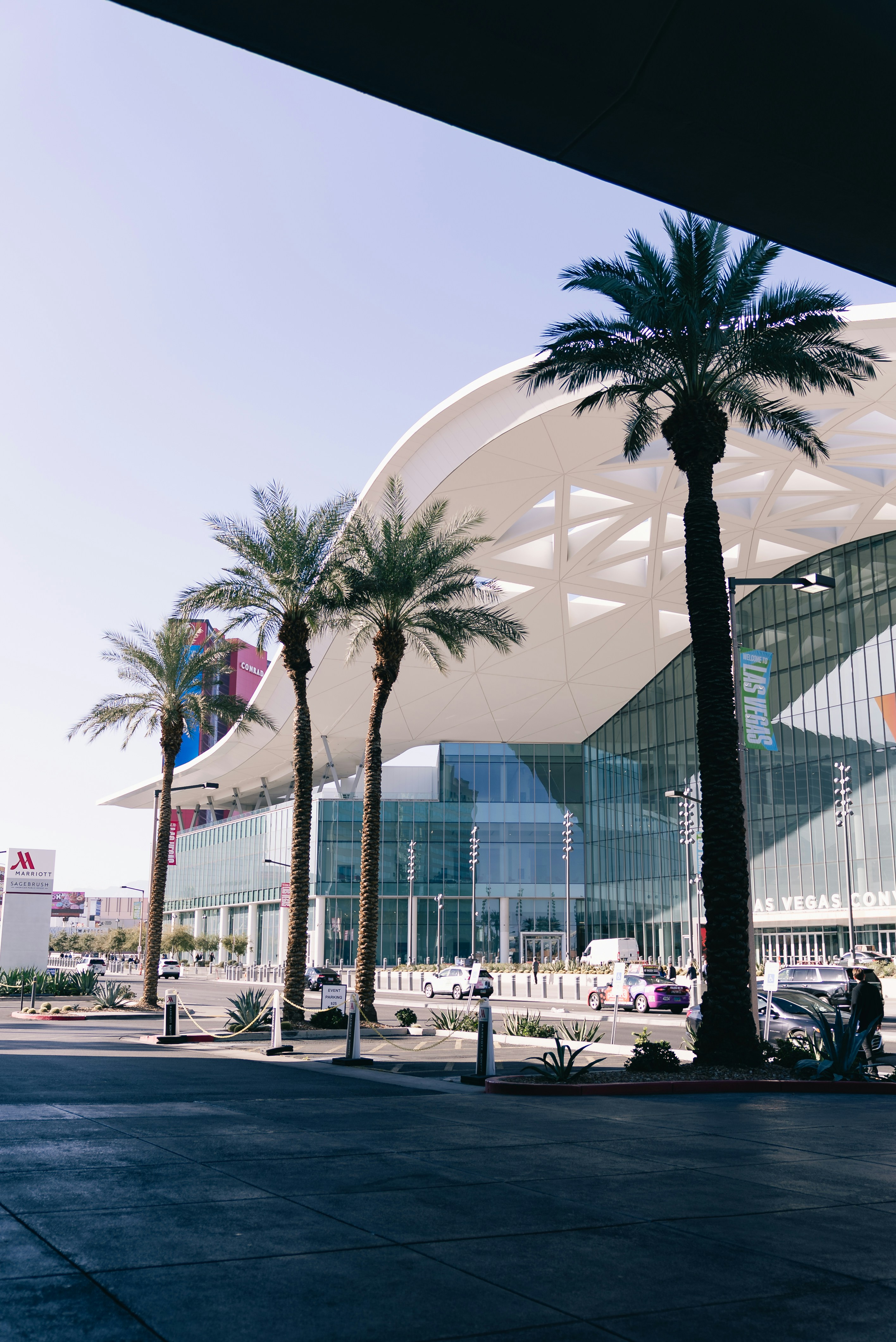 Modern building with palm trees on a sunny day