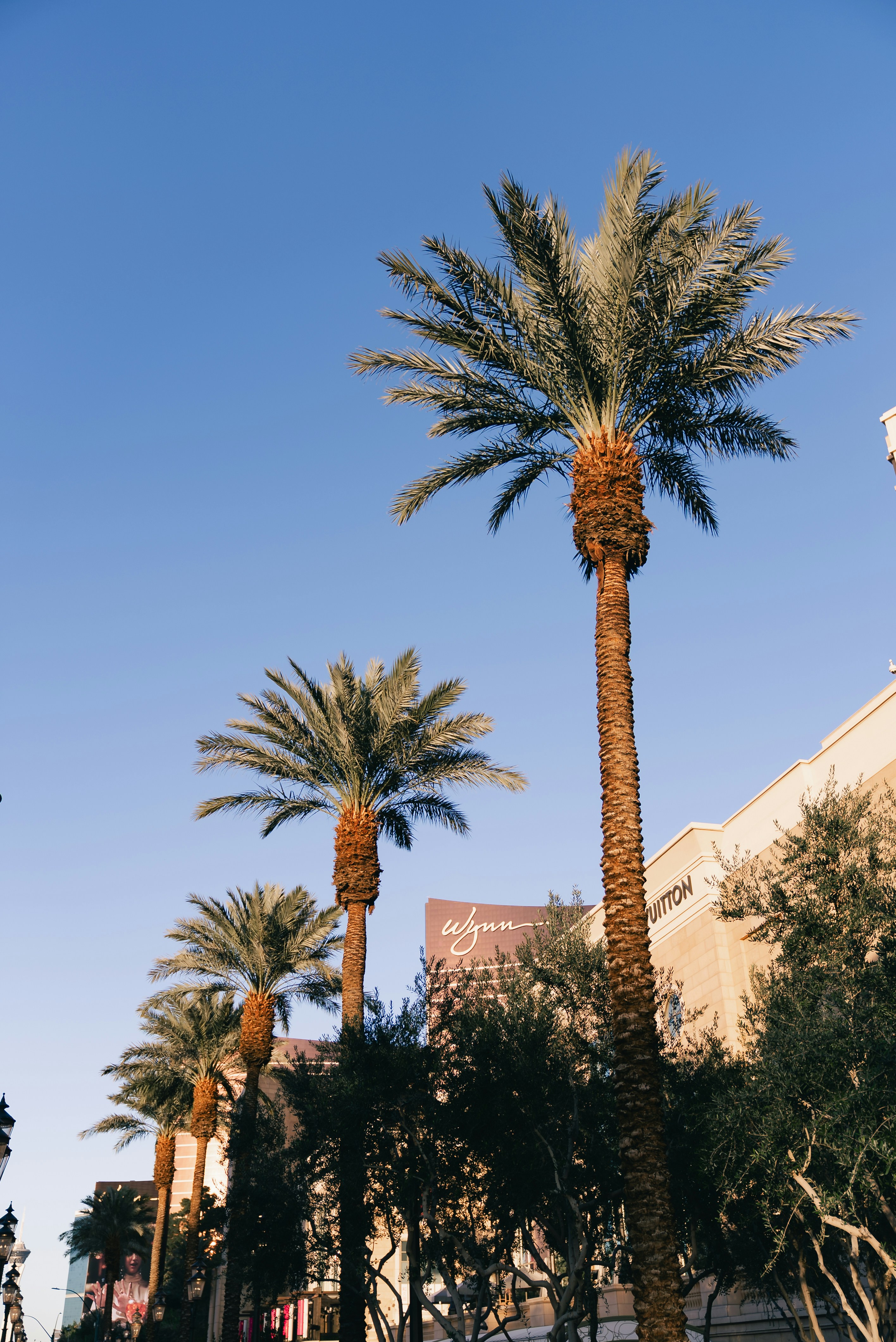 Photo by introspectivedsgn