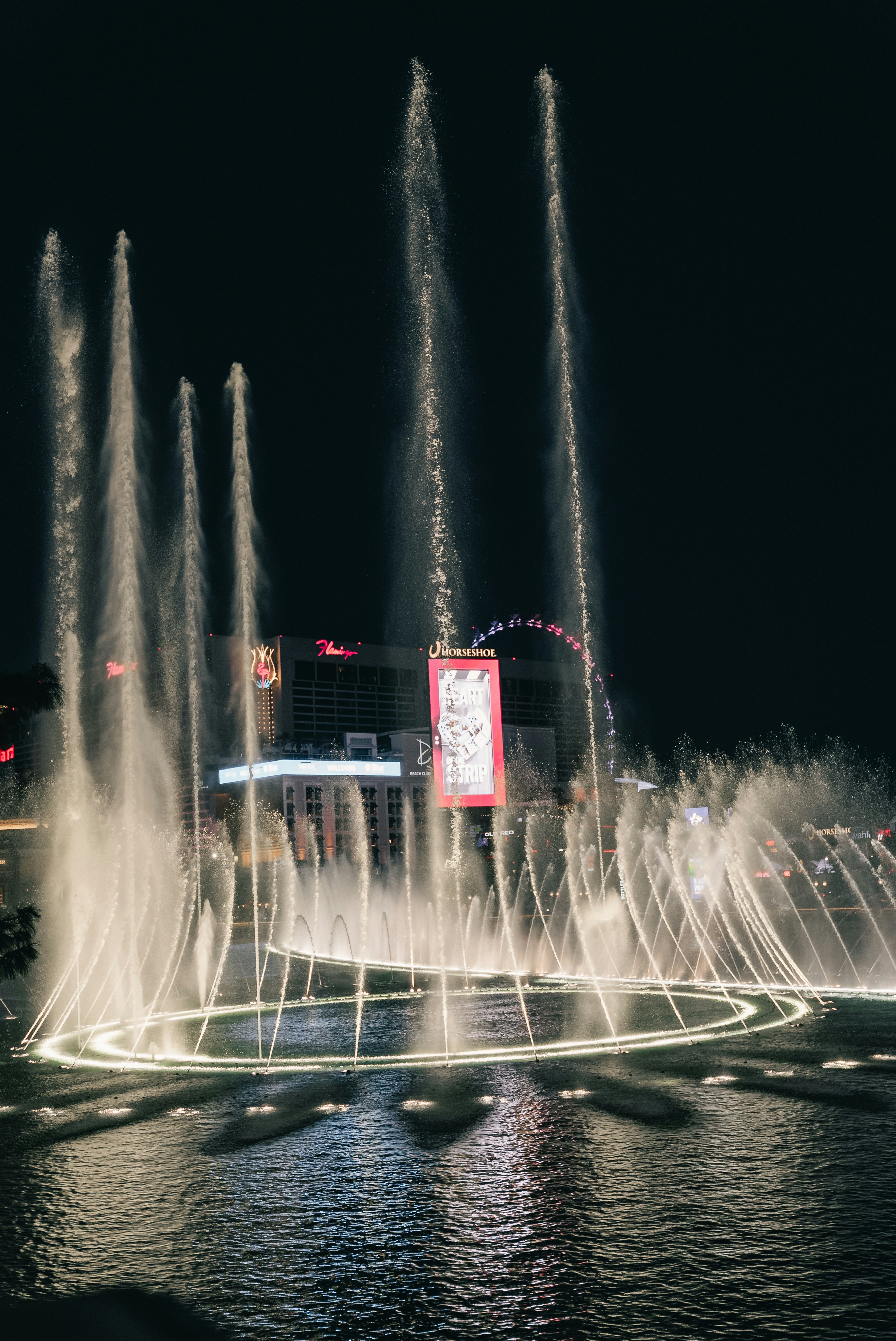 Photo by introspectivedsgn