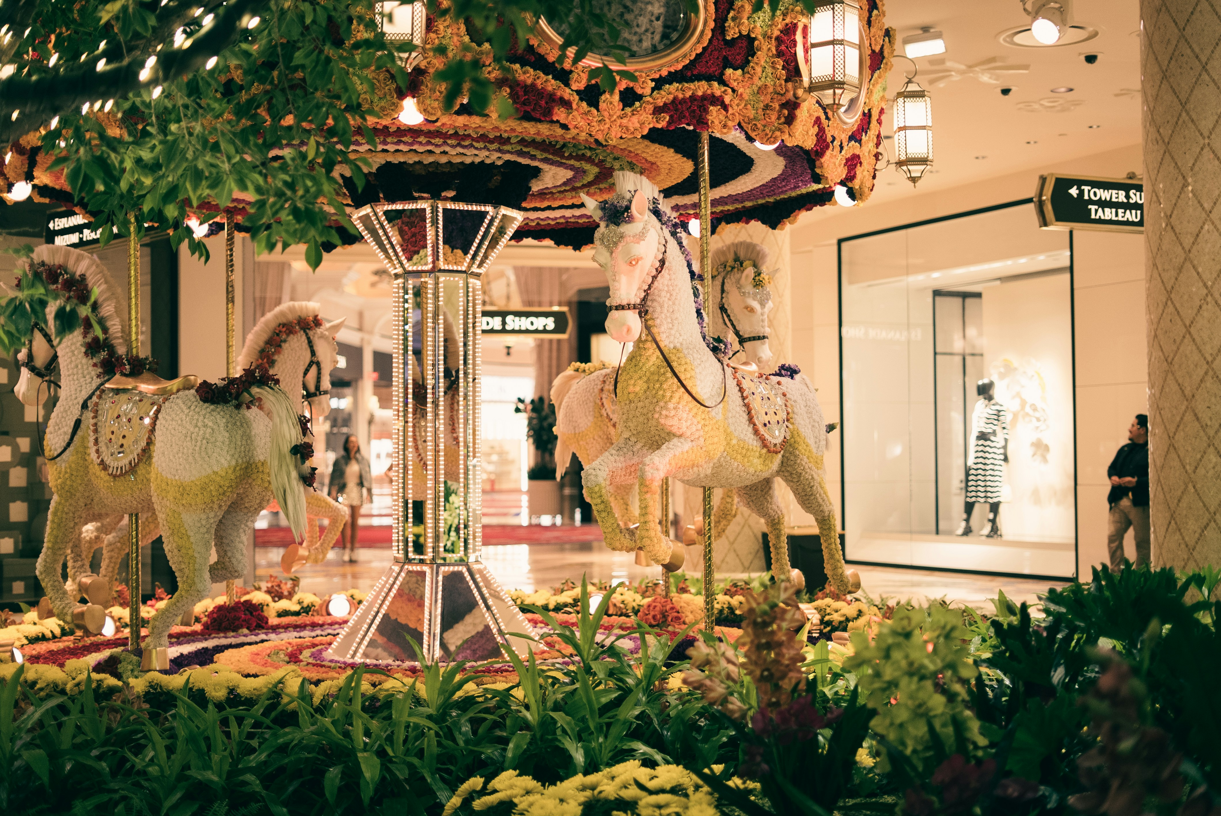 Springtime in the Golden Gate: Seasonal Souvenirs to Celebrate the Bloom