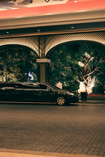 Limousine Service