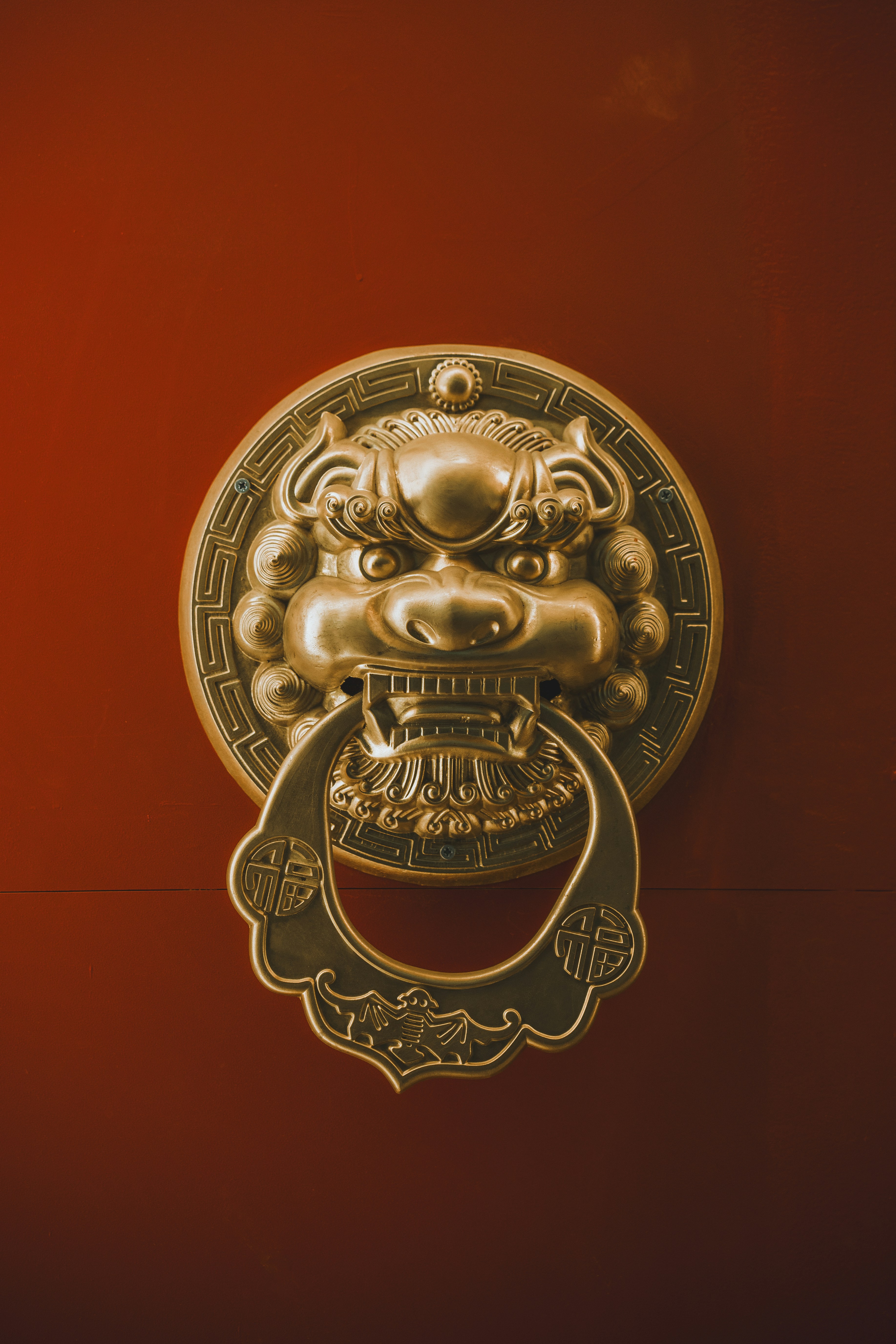 Photo by peek_a_boo_who