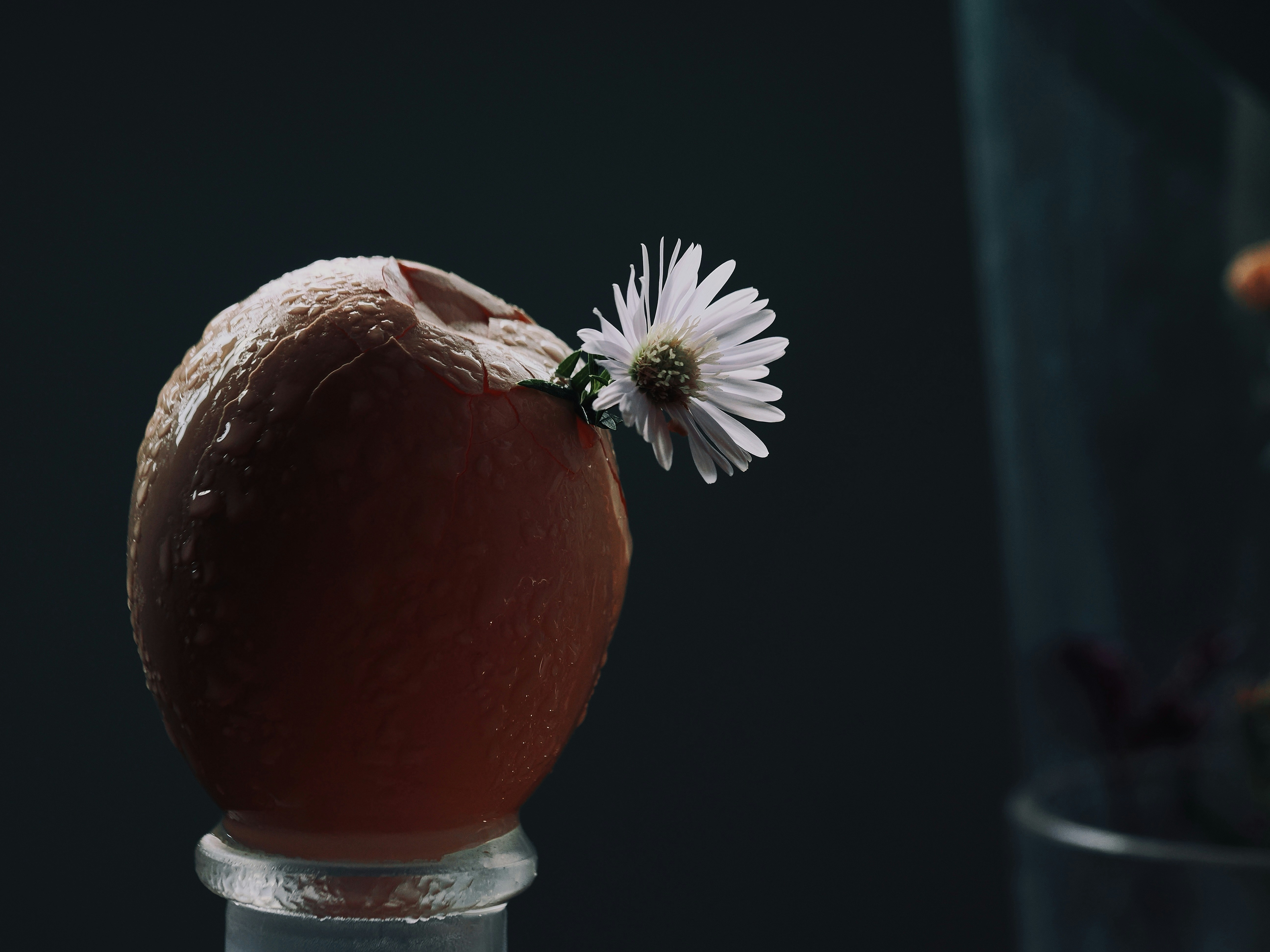 A cracked egg with a small flower growing from it