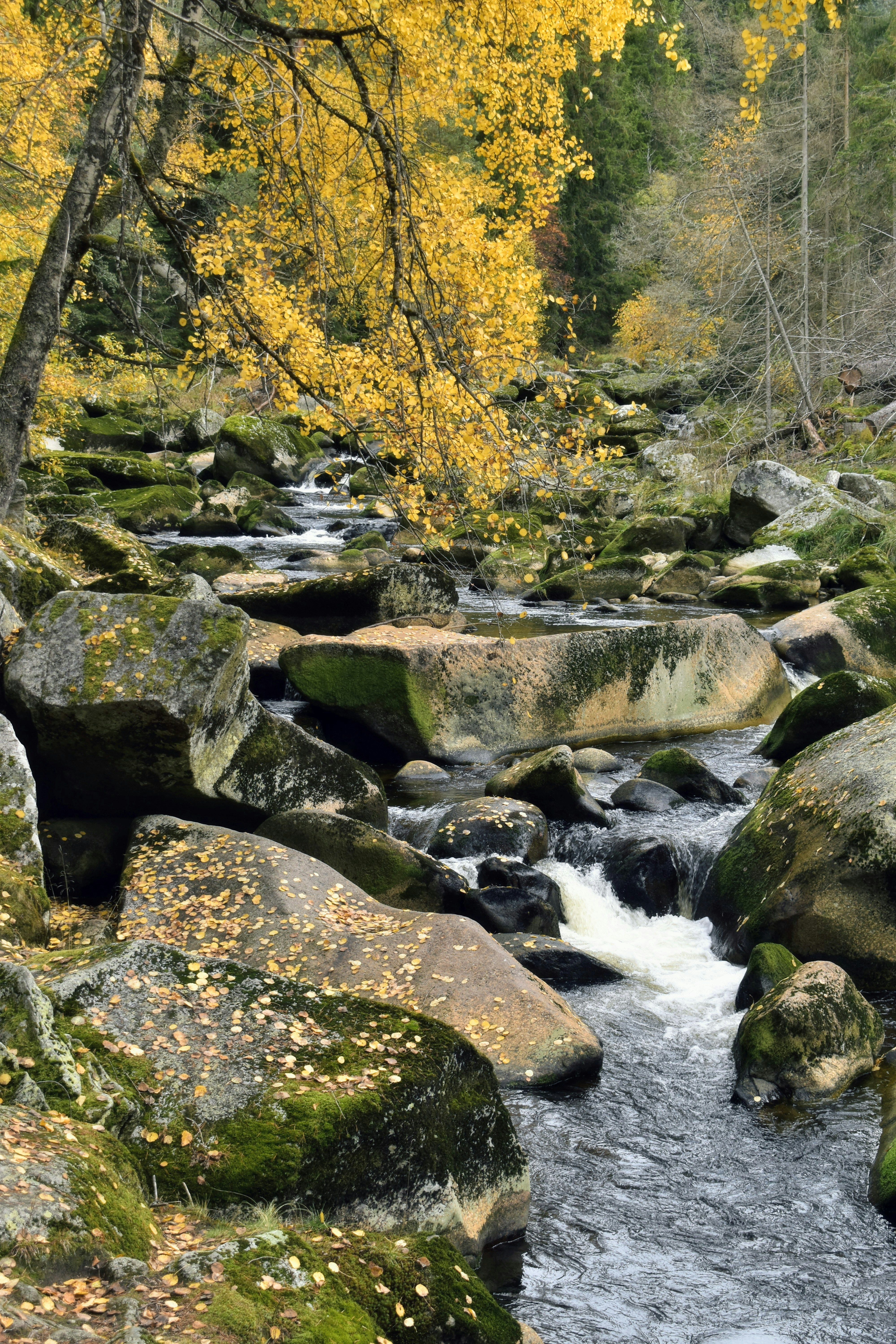 Photo by hejpetrpepa