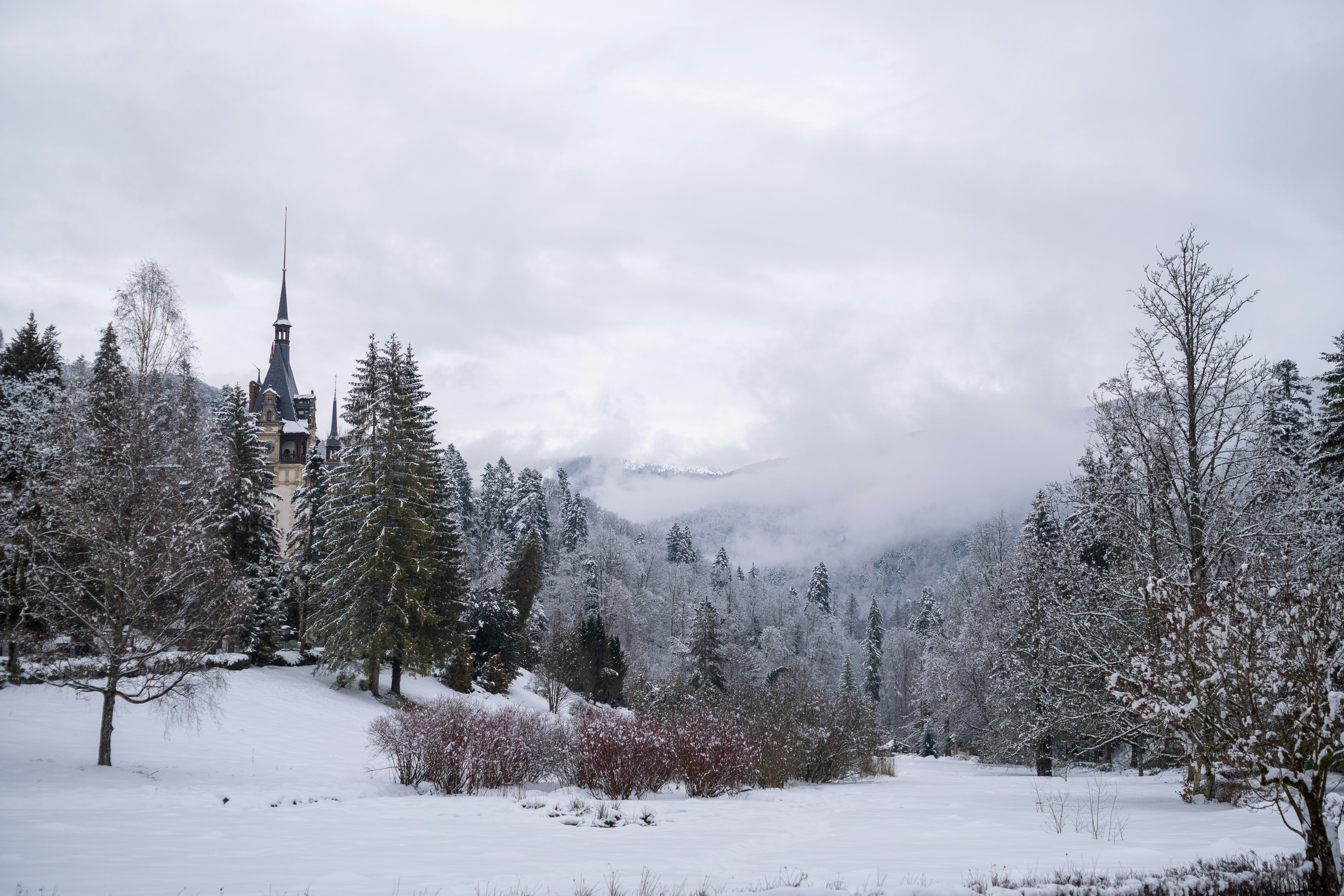 Snow-covered castle surrounded by winter trees and mountains.