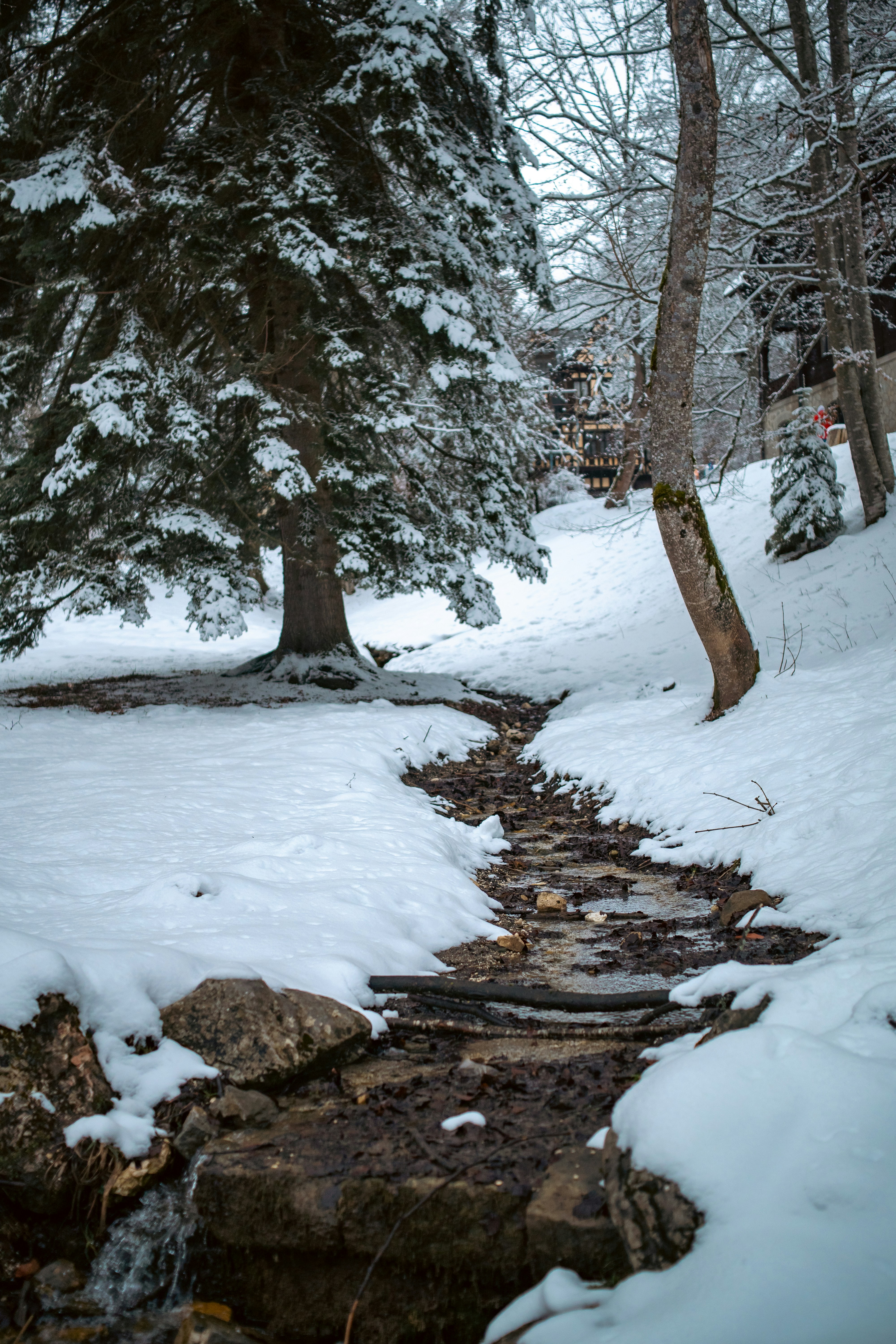 Photo by mirceadrian