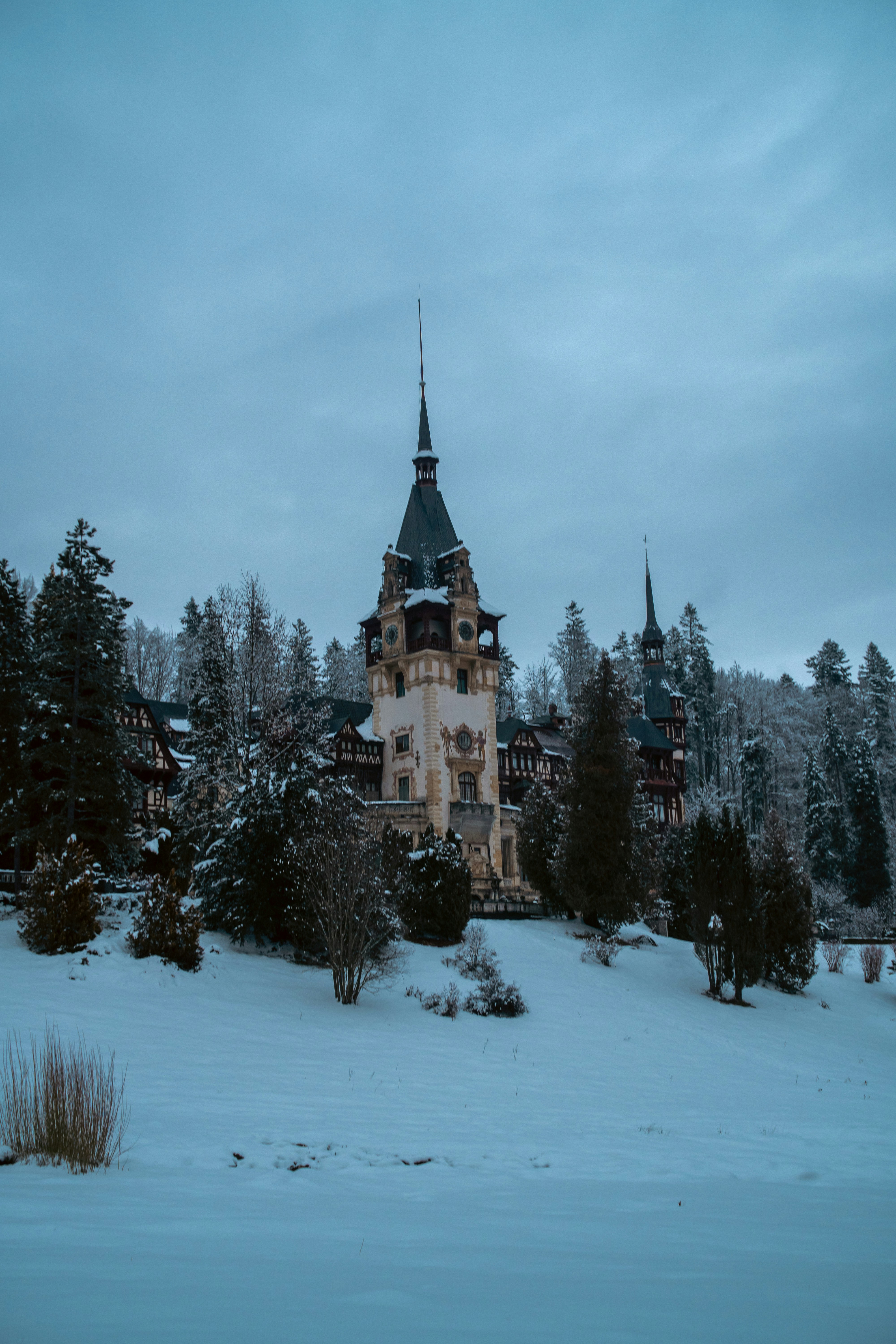 Snow-covered castle surrounded by trees under a cloudy sky