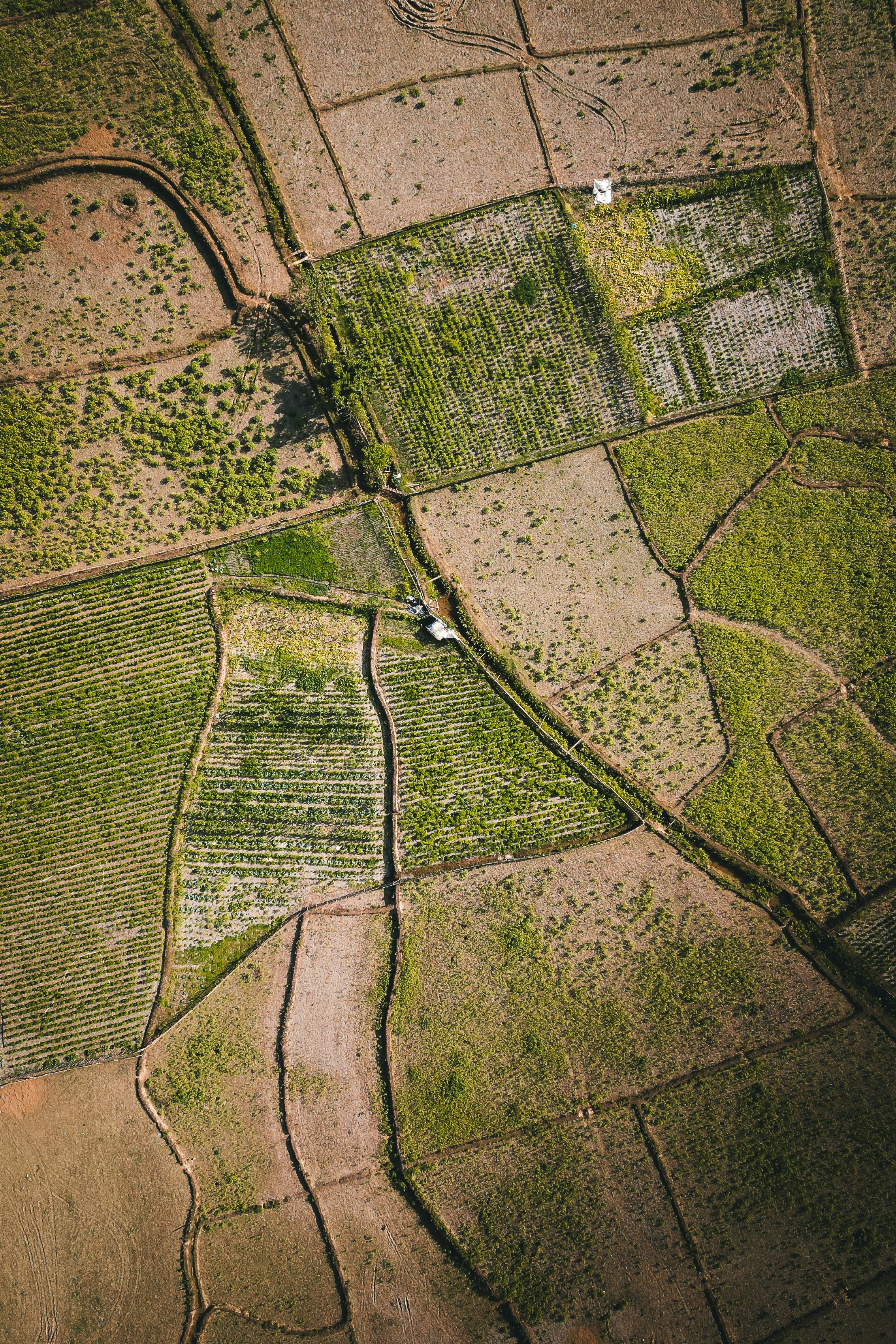 Photo by kevin_charit