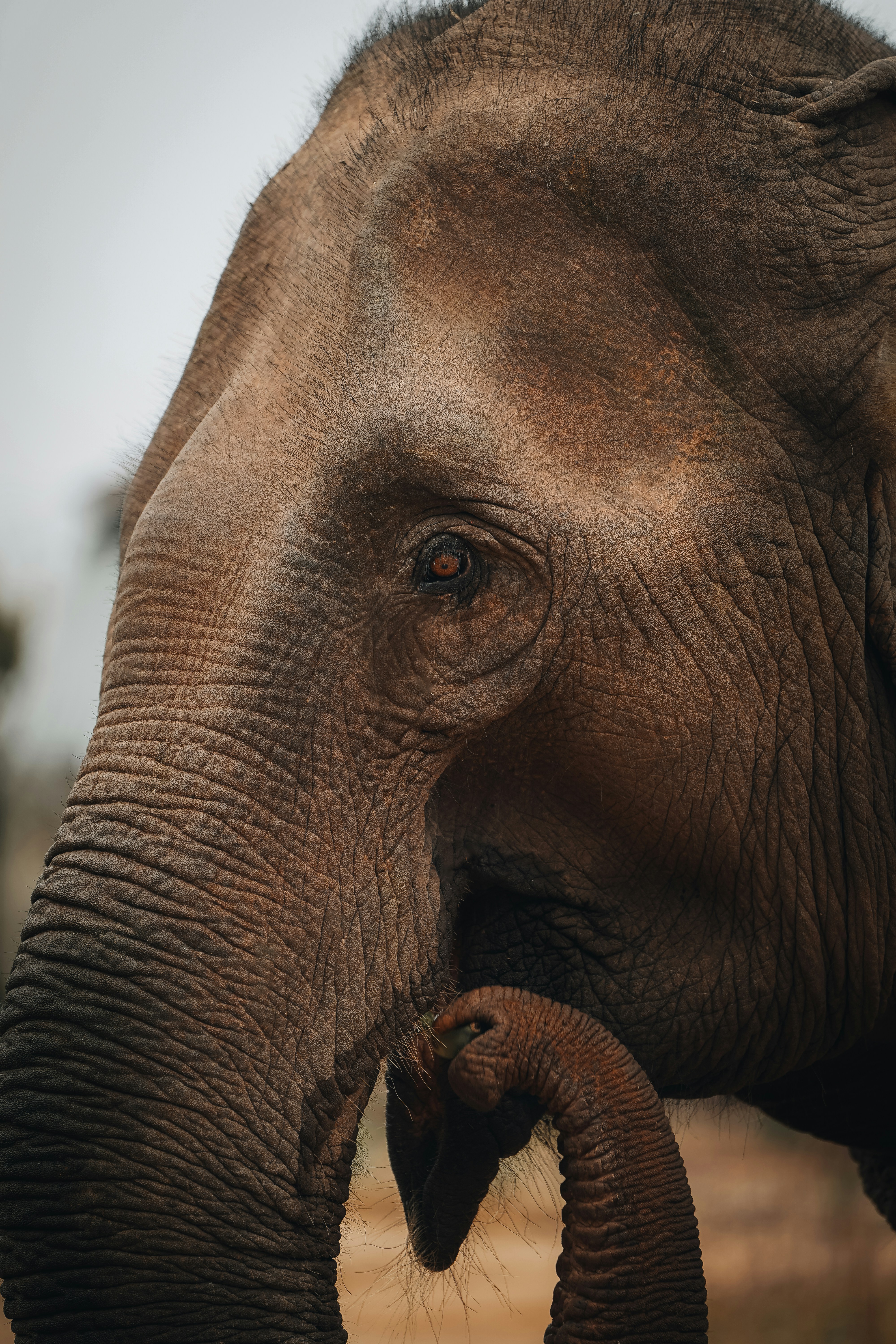 Photo by kevin_charit