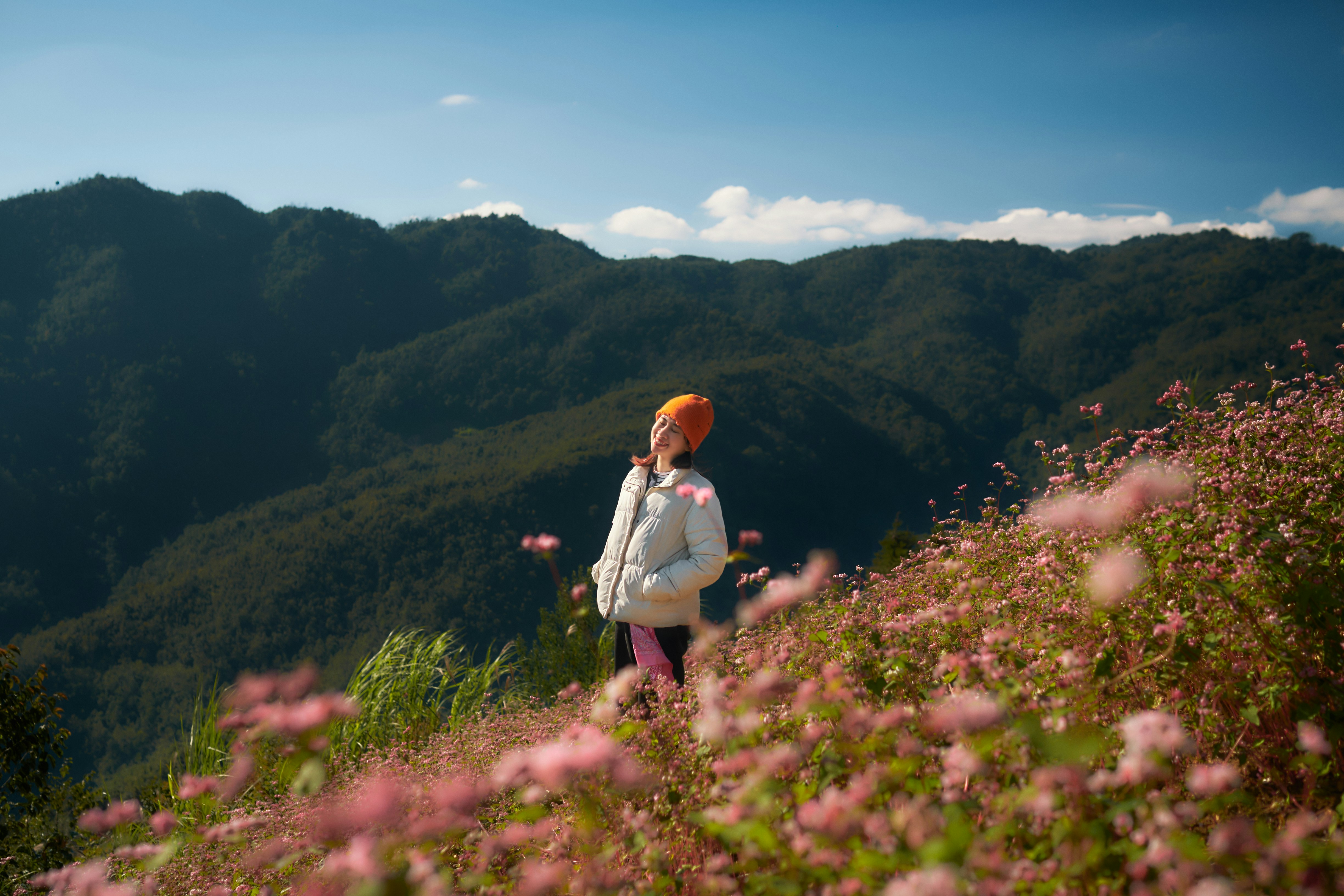 solo traveler adventure destination mountain - Woman in a field of pink flowers on a mountain