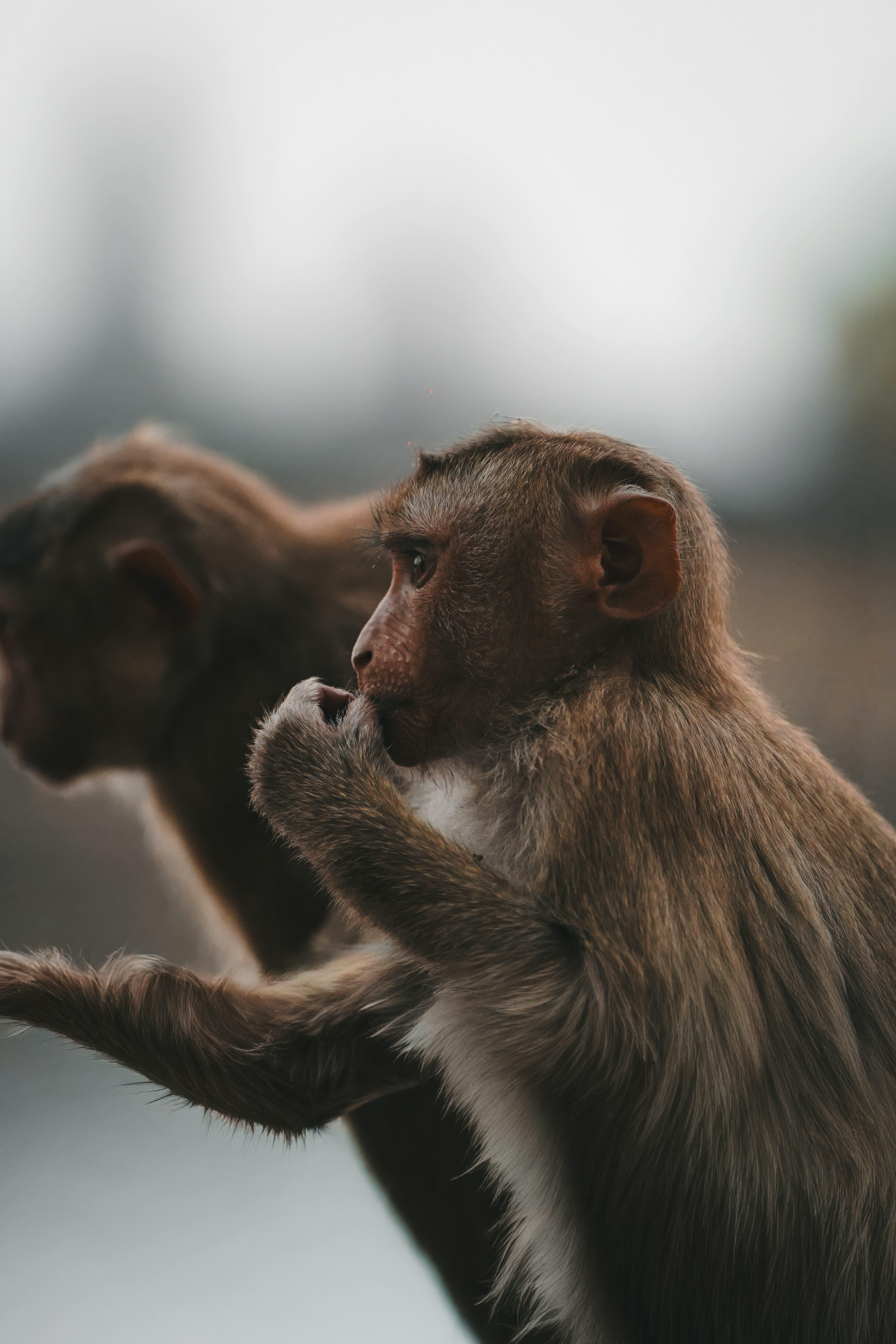 Photo by kevin_charit