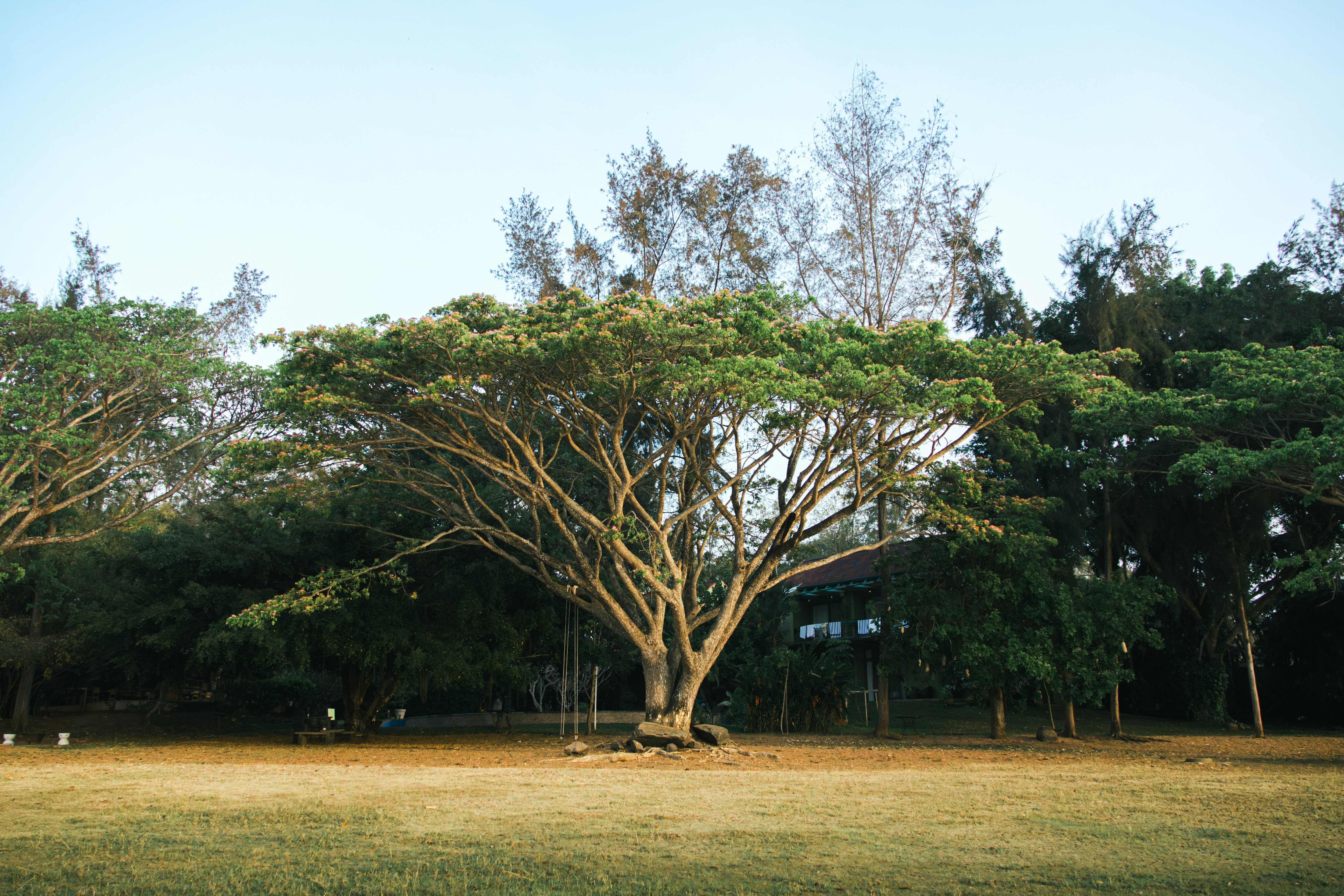 Photo by sameer_srivastava