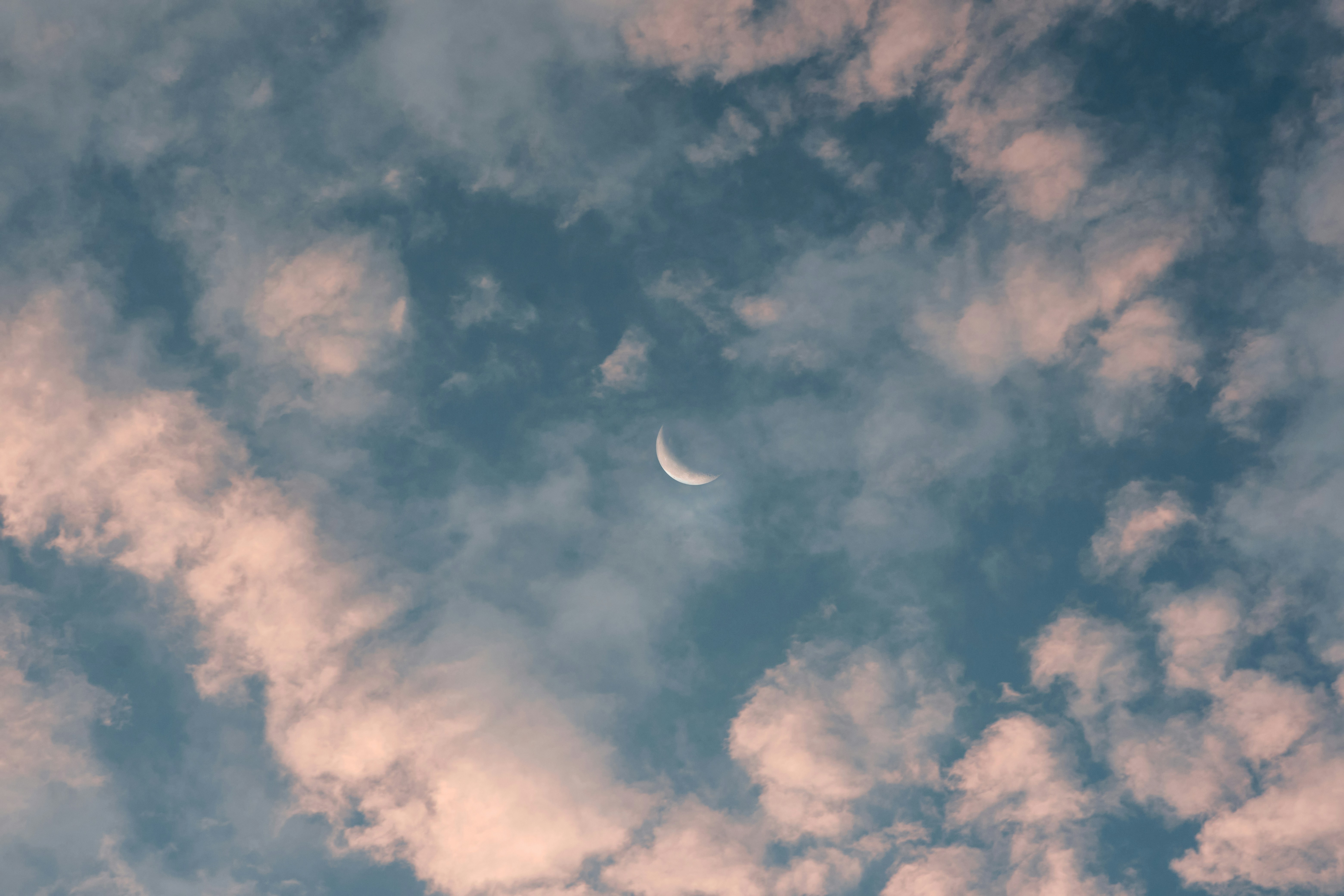 Photo by byharryle
