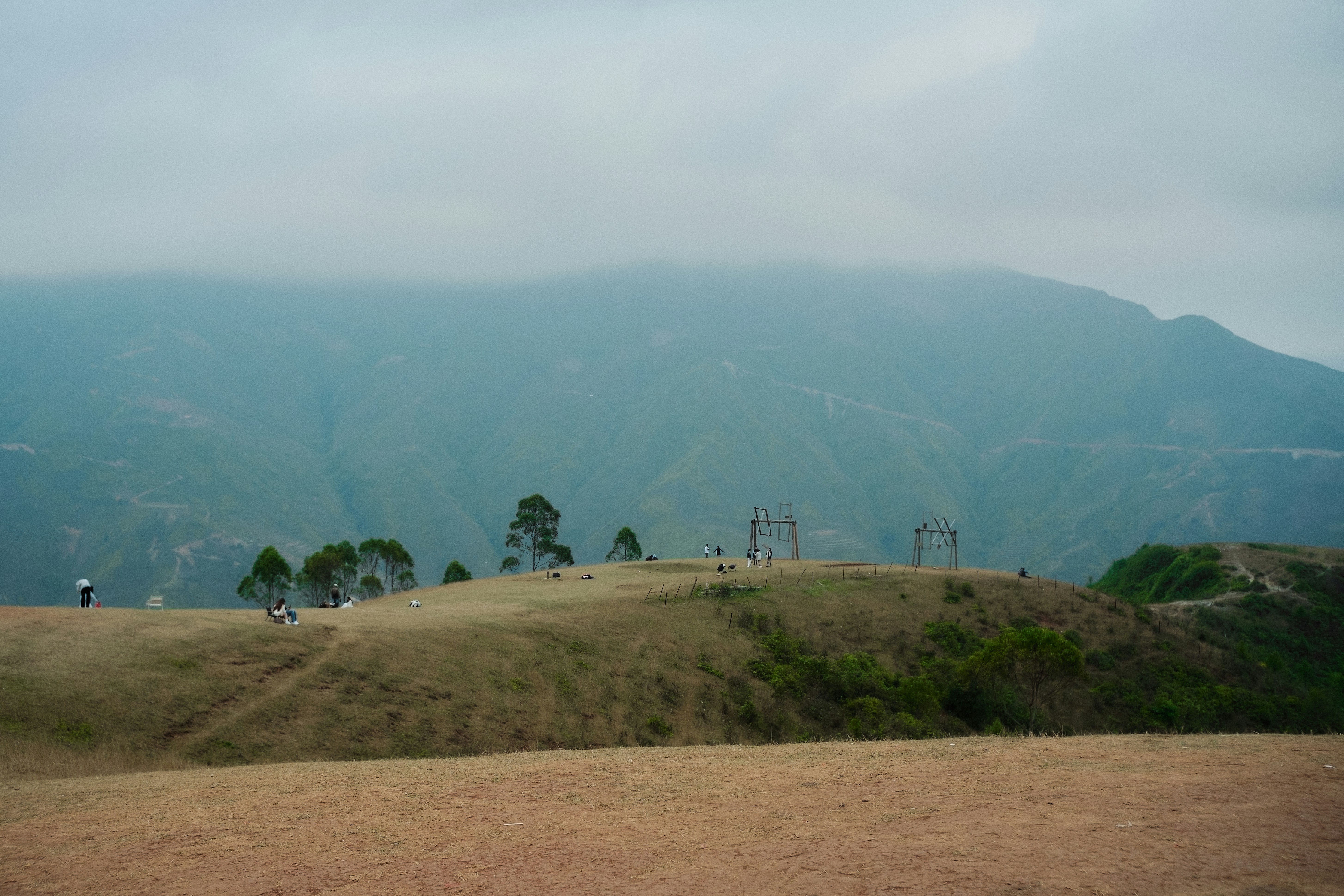 Grassy hill with trees and mountains in background 풍경 사진