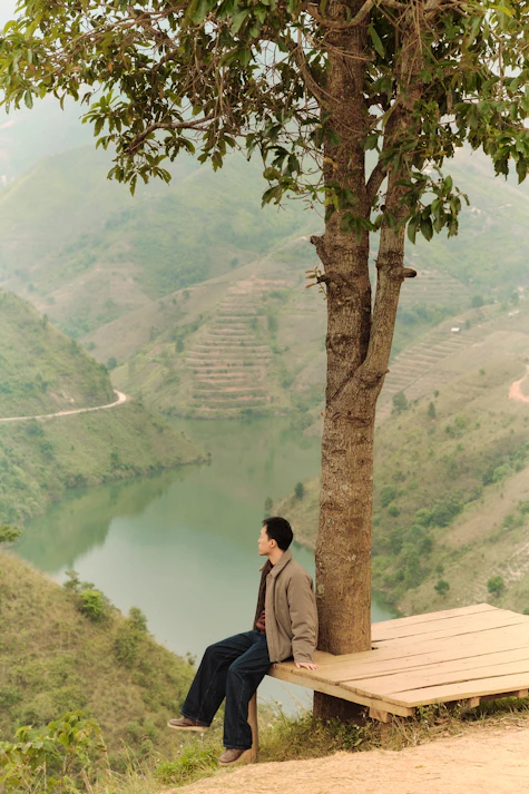 Man sits on wooden platform under tree overlooking valley