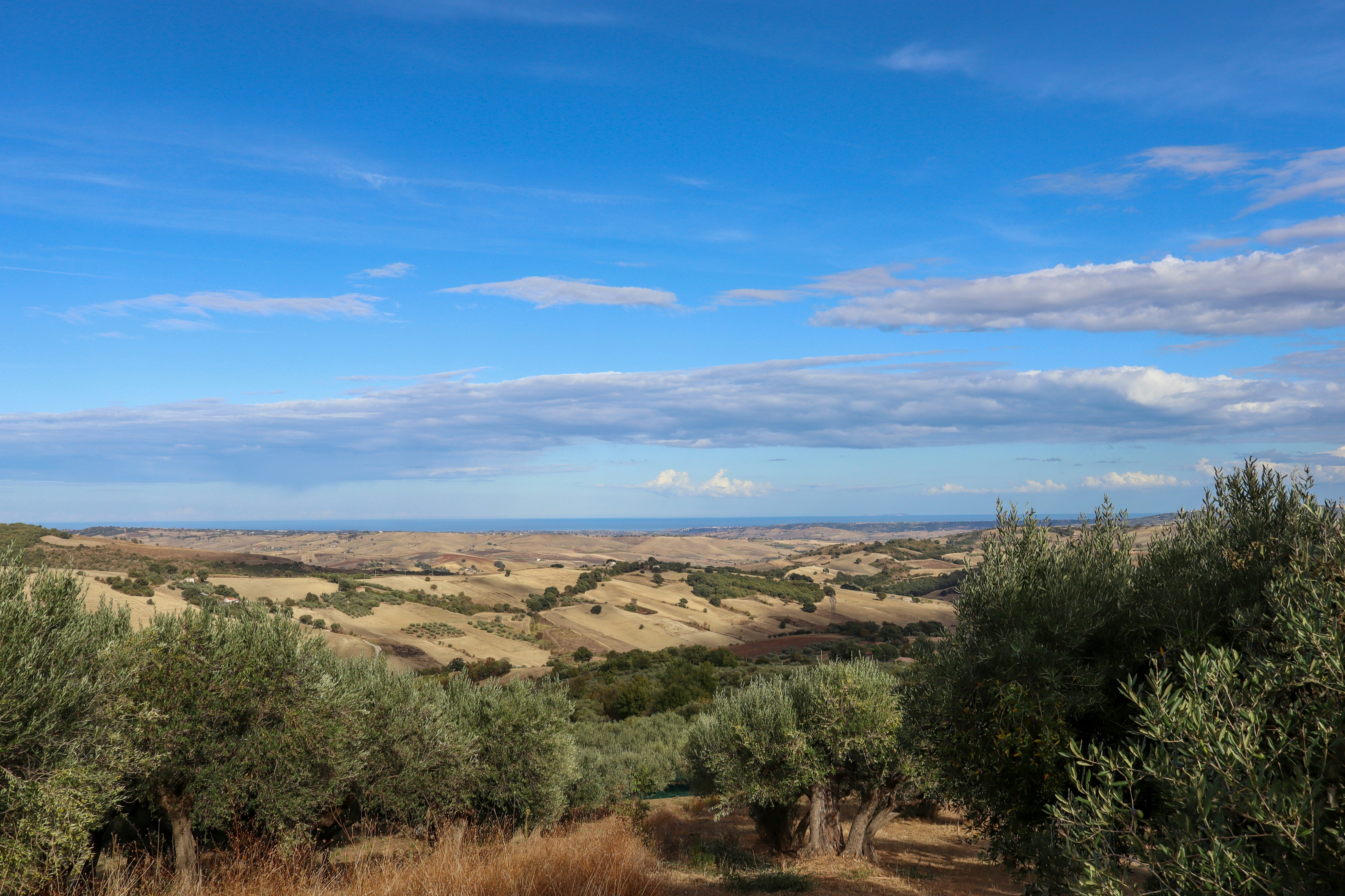 Photo by draw_chicken